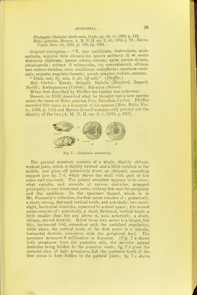 Flectopylis (Si/7cesia) clathrcdula, Glide, op. cit. vi, 1899, p. 149. HelLv puteohli, Beiisnn, A. M. N. H. ser. 2, xii, 1853, p. 92; Reeve, Conch. Icon, vii, 1854, pi. 190, lig. 1334. Original description-.— T. late iimbilicata, lenticiilaris, acute carinata, superne liris elevatis (in qiiovis anirraetu 2) et costis distinctis clathrata, parum nitens, cornea; spira parum elevata, obtusiuscula ; aiifract. 5 subajqiiales, vix convexiusculi, ultimus basi radiato-striatus, circa umbilicum subiuflatus ; apertura verti- calis, angusta, angulato-liinaris ; perist. simplex, rectum, acutum.  Diam. maj. 54, min. 5, alt. 2| mill. (Pfeiffer.) Hah. Ceylon : Kandy, Balapiti, Badulla {Blanford, Lmjard, Nevill); Ambagamuvva (Collett) ; Balcadua (Simon). When first described by Pfeiffer the habitat was unknown. Benson, in 1853, described what he thought was a new species under the name of Helix puieoliis, from Balcadua, Ceylon. Pfeiffer recorded this name as a synonym of his species (Mon. Helic. Viv. iv, 1859, p. 116) and Benson himself subsequently pointed out the identity of the two (A. M. N. H. ser. 3, v, 1860, p. 247). Pig. 7.—Euthvcnia dathratula. The parietal armature consists of a single, slightly oblique, vertical plate, which is slightly twisted and a little notched in the middle, and gives off posteriorly al'ove an obliquely ascending support (see fig. 7 d, which shows the shell with part of the outer wall removed). The palatal armature appears to be some- what variable, and consists of various denticles, arranged principally in two horizontal series, midway het\\ een the periphery and the umbilicus. In the specimen figured, which is in Mr. Ponsonby's collection, the first series consists of: posteriorly, a short, strong, flattened vertical tooth, and anteriorly, two short, slight, horizontal denticles, sepanited by a short space ; the second series consists oF: posteriorly, a .short, flattened, vertical tooth, a little smaller than the one above it, and, anteriorlv, a short, oblique, curved denticle. Below these two series is a longer, but thin, horizontal fold, coincident with the umbiliciil angulation, while above the vertical tooth of the first series is a minute, horizontal denticle, coincident with the peripheral keel. The specimen measures 5 millimetres in diameter, (^g. 7 a shows both armatures from the posterior side, the anterior palatal denticles being bidden by the posterior teeth; fig. 7 6 ^ives the anterior view of both armatures, but the posterior tooth of the first series is here hidden by the parietal plate; fig. 7 c shows