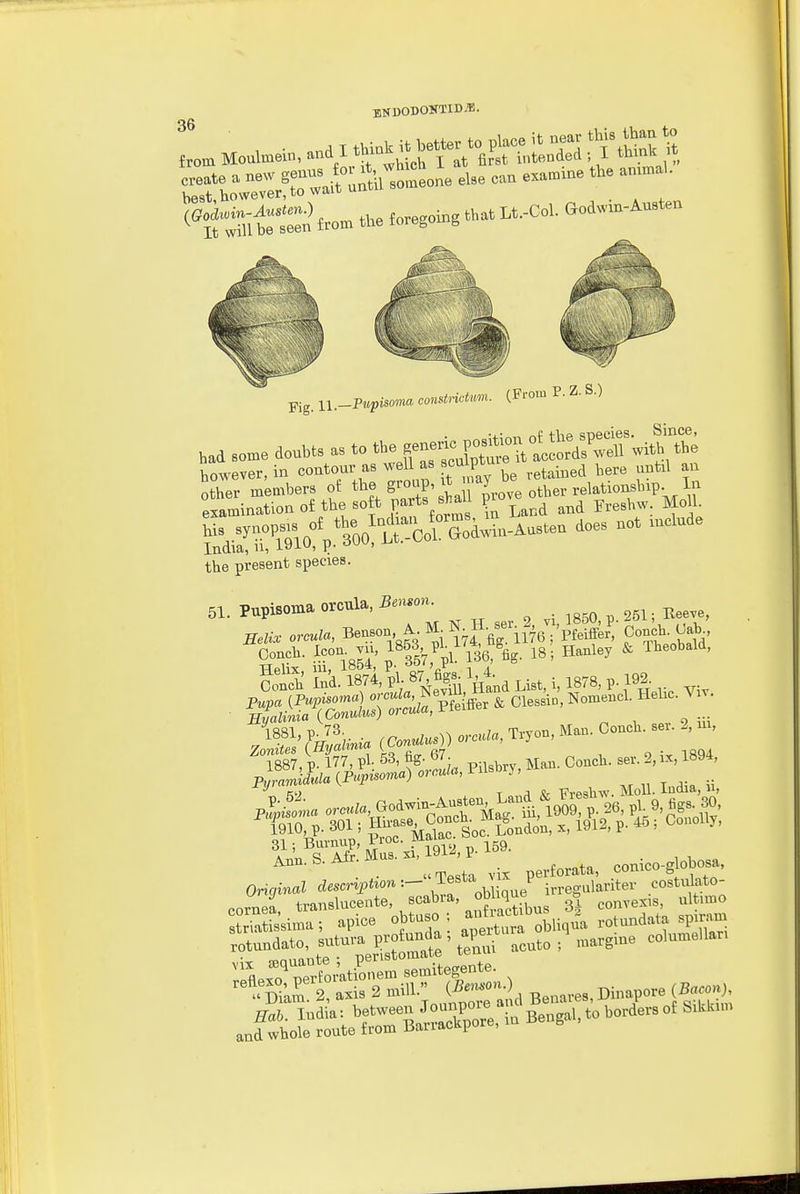 ENDODOKTID.U. 36 (''ittutrSn *e foregoing t.at U.-Co,. aodwi.-Aus.,n (From P. Z. S.) had some doubts as to ^^^XslX^ l^o'd^^^^^^^ however, in <=ontonv^^ ^'^^J^^ l^^^^ ^..^dBed bere until an the present species. 51. Pupi.oma orcula, j,^^, Mi, ..--te, Benso». t i iM flrilV 'PtriL' Concb. U.b K i- S^kfet.d«,i,i8r8,p.2^^^^^^ ,,,, - SlSSl:;Pfe*r Oles..., Ho,a»c,. Hel.c. ■ ^..s.A*.Mu..„, m. p.-»- ^^^^^^ rSsima-, apice obtnso ; -J-*'>„^^t ,„,„nd»U sp.ram Tl^rr;^:^^ ,narg.„e co,n»e>,.n '*Skrr:^;r2 n>rlC«;',, B..ap.re