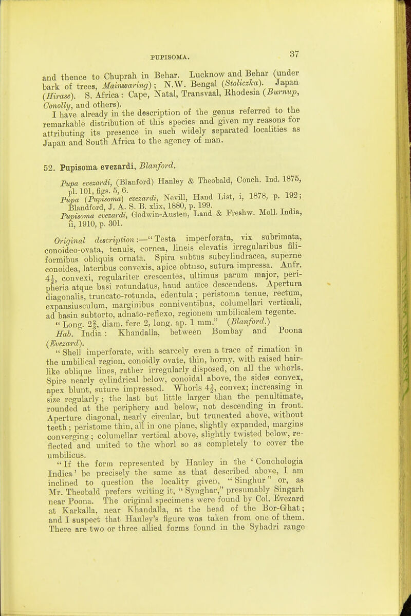 and thence to Chuprah in Behar. Lucknow and Behar (under bark o£ trees, Mainwaring); N.W. Bengal (S^oZtcs/c:a) Japan (Hirase). S. Africa : Cape, Natal, Transvaal, Ehodesia (Burnup, Conolly, and others). c a 4.u I have akeady in the description of tlie genus referred to the remarkable distribution of this species and given my reasons tor attributing its presence in such widely separated localities as Japan and South Africa to the agency of man. 52. Pupisoma evezardi, Blanford. Pupa evezardi, (Blanford) Hanley & Theobald, Oonch. Tnd. 1875, Pm'a (Pupisoma) evezardi, Nevill, Hand List, i, 1878, p. 192; Blandford, J. A. S. B. xlix, 1880, p 199 Pupisoma evezardi, Godwin-Austen, Land & Freshw. Moll. India, ii, 1910, p. 301. Oriqinal descriptionTesta imperforata, vix subrimata, conoideo-ovata, tenuis, cornea, lineis elevatis irregularibus fali- formibus obliquis ornata. Spira subtus subcylmdracea, superne conoidea, lateribus convexis, apice obtuso, sutura impressa. Antr. 41 convexi, regulariter crescentes, ultimus parum major, peri- pheria atque basi rotundatus, baud antice descendens. Apertura diac^onalis, truncato-rotunda, edentula; peristoma tenue, rectum, expansiusculum, marginibus conniventibus, columellari verticah, ad basin subtorto, adnato-reflexo, regionem nmbilicalem tegente.  Lono-. 2|, diam. fere 2, long. ap. 1 mm. (Blanford.) Eah. India : Khandalla, between Bombay and Poona (Evezard). r ■  Shell imperforate, with scarcely even a trace ot rimation in the umbilical region, conoidly ovate, thin, horny, with raised hair- like oblique lines, ratlier irregularly disposed, on all the whorls. Spire nearly cylindrical below, conoidal above, the sides convex, apex blunt, suture impressed. Whorls 4i, convex; increasing in size regularly; the last but little larger than the penultimate, rounded at the periphery and below, not descending in front. Aperture diagonal, nearly circular, but truncated above, without teeth ; peristome thin, all in one plane, slightly expanded, margins converging ; columellar vertical above, slightly twisted below, re- flected and united to the whorl so as completely to cover the umbilicus. . , 1 •  If the form represented by Hanley m the Conchologia Indica' be precisely the same as that described above, I am inclined to question the locality given, Singhur or, as Mr. Theobald prefers writing it,  Synghar, presumably Smgarh near Poona. The original specimens were found by Col. Evezard at Karkalla, near Khandalla, at the head of the Bor-Ghat; and I suspect that Hanley's figure was taken from one of them. There are two or three allied forms found in the Syhadri range