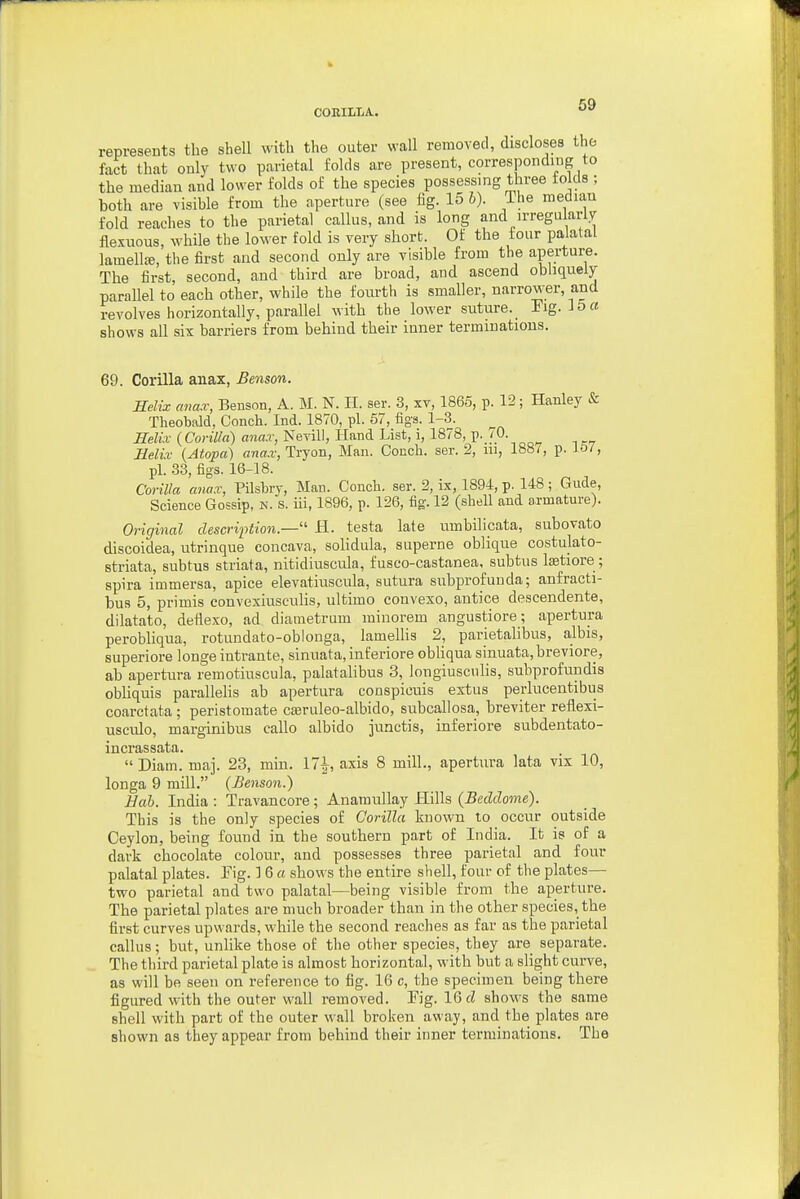 represents the shell with the outer wall removed, discloses the fact that only two parietal folds are present, corresponding to the median and lower folds of the species possessing three folds ; both are visible from the aperture (see fig. 15 6). The median fold reaches to the parietal callus, and is long and irregularly flexuous, while the lower fold is very short. Of the four palatal lamell£e, the first and second only are visible from the aperture. The first, second, and third are broad, and ascend obhquely parallel to each other, while the fourth is smaller, narrower, and revolves horizontally, parallel with the lower suture. Pig. 35« shows all six barriers from behind their inner terminations. 69. Gorilla aiiax, Benson. Helix anax, Benson, A. M. N. II. ser. 3, xv, I860, p. 12; Hanley & Theobald, Conch. Ind. 1870, pi. 67, figs. 1-3. Helix {Corilld) anax, Nevil!, Hand List, i, 1878, p. /O. Helix (Atopa) ana.r, Tryon, Man. Conch, ser. 2, lu, 1887, p. JO/, pi. 33, figs. 16-18. Corilla anax, Pilshry, Man. Conch, ser. 2, ix, 1894, p. 148; Gude, Science Gossip, n. s. iii, 1896, p. 126, fig-. 12 (shell and armature). Original description.— ' H. testa late umbilicata, subovato discoidea, utrinque concava, solidula, superne oblique costulato- striata, subtus striata, nitidiuscula, fusco-castanea, subtus lastiore ; spira immersa, apice elevatiuscula, sutura subprofuuda; anfracti- bus 5, primis convexiusculis, ultimo convexo, autice descendente, dilatato, deflexo, ad diametrum minorem angustiore; apertura perobliqua, rotundato-oblonga, lamellis 2, parietalibus, albis, superiore longe intrante, sinuata, inferiore obliqua sinuata,breviore, ab apertura remotiuscula, palatalibus 3, iongiuscnlis, subprofundis obliquis parallelis ab apertura conspicuis extus perlucentibus coarctata; peristomate c£eruleo-albido, subcallosa, breviter reflexi- usculo, marginibus callo albido junctis, inferiore subdentato- incrassata.  Diam. maj. 23, min. 17|-, axis 8 mill., apertura lata vix 10, longa 9 mill. (Benson.) Bab. India : Travancore; Anamullay Hills (Beddome). This is the only species of Corilla known lo occur outside Ceylon, being found in the southern part of India. It is of a dark chocolate colour, and possesses three parietal and four palatal plates. Tig. 16 a shows the entire shell, four of the plates— two parietal and two palatal—being visible from the aperture. The parietal plates are much broader than in the other species, the first curves upwards, while the second reaches as far as the parietal callus; but, unlike those oi: the other species, they are separate. The third parietal plate is almost horizontal, with but a slight curve, as will be seen on reference to fig. 16 c, the specimen being there figured with the outer wall removed. Tig. 16 d shows the same shell with part of the outer «'all broken away, and the plates are shown as they appear from behind their inner terminations. The