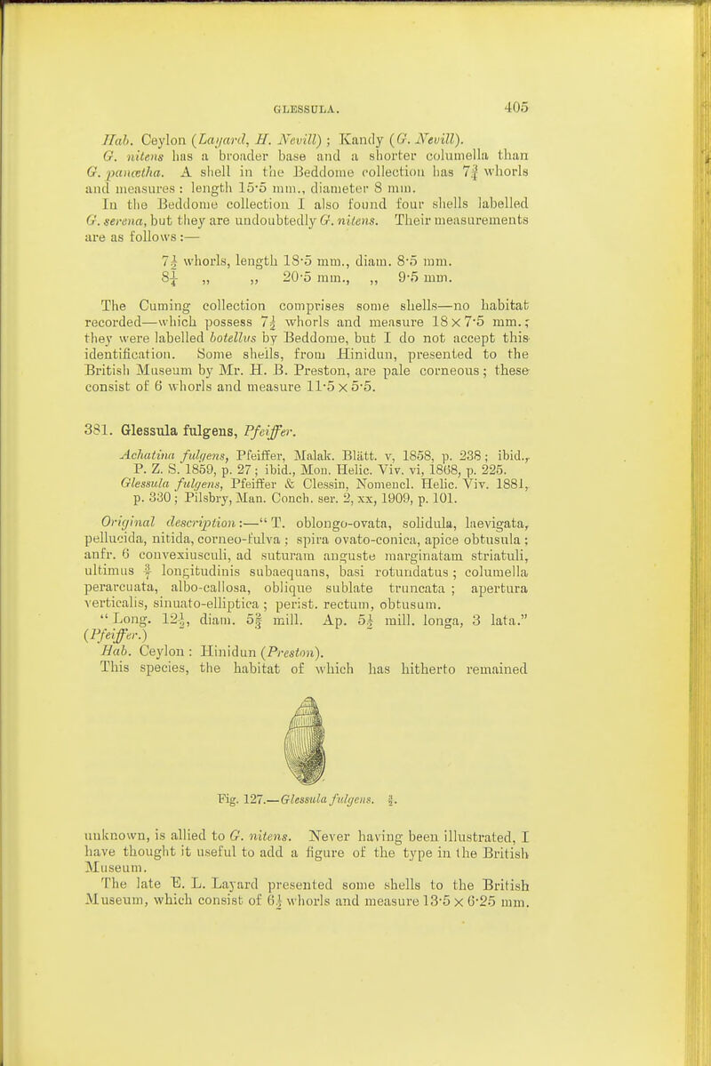 Ilah. Ceylon (Lai/ard, H. Nevill) ; Kandy (Cr. Neuill). O. nitens Ims a broader base and a sliortof columella than G. pancelha. A shell in t'ne Eeddome collection lias 7| whorls and measures : lengtii 15'5 mm., diameter 8 mm. lu tlie Beddome collection I also found four shells labelled G. Serena, but tliey are undoubtedly G. nitens. Their measurements are as follows :— 7i whorls, length 18'5 mm., diam. 8-5 mm. 8^ „ „ 20-5 ram., „ 9'5 mm. The Cuming collection comprises some shells—no habitat recorded—which possess 7\ whorls and measure 18x7'5 mm.; they weie labelled botellvs by Beddome, but I do not accept this identification. Some shells, from Hinidun, presented to the Britisii Museum by Mr. H. B. Preston, are pale corneous; these consist of 6 whorls and measure 115 x 5'5. 381. Glessula fulgens, P/ciffer. Achatinn fulqens, PfeifEer, Makk. Blatt. v, 1858, p. 238 ; ibid.,. P. Z. S. 1859, p. 27; ibid., Moil. Plelic. Viv. vi, 1868, p. 225. Glessula fulgens, Pfeiifer & Clessin, Nomencl. Helic. Viv. 1881,, p. 330 ; Pilsbry, Man. Conch, ser. 2, xx, 1909, p. 101. Original description:— T. oblongo-ovata, sohdula, laevigata, pellucida, uitida, corneo-fulva ; spira ovato-conica, apice obtusnla ; anfr. 6 convexiusculi, ad suturara auguste marginatam striatuli, ultimus i lon{;itudiuis subaequans, basi rotundatus ; columella perarcuata, albo-callosa, oblique sublate truncata ; apertura verticalis, sinuato-elliptica ; perist. rectum, obtusum. Long. 12-1, diam. 5| mill. Ap. 5.i mill, longa, 3 lata. (Pfeiffer.) ' Bab. Ceylon : ilinidun (Preston). This species, the hahitat of which has hitherto remained Fig. 127.—Glessida Julgens. J. unknown, is allied to G. nitens. jSTever having been illustrated, I have thought it useful to add a figure of the type in the British Museum. The late E, L. Layard presented some shells to the British Museum, which consist of 6.1 whorls and measure 13-5 x 6-25 mm.