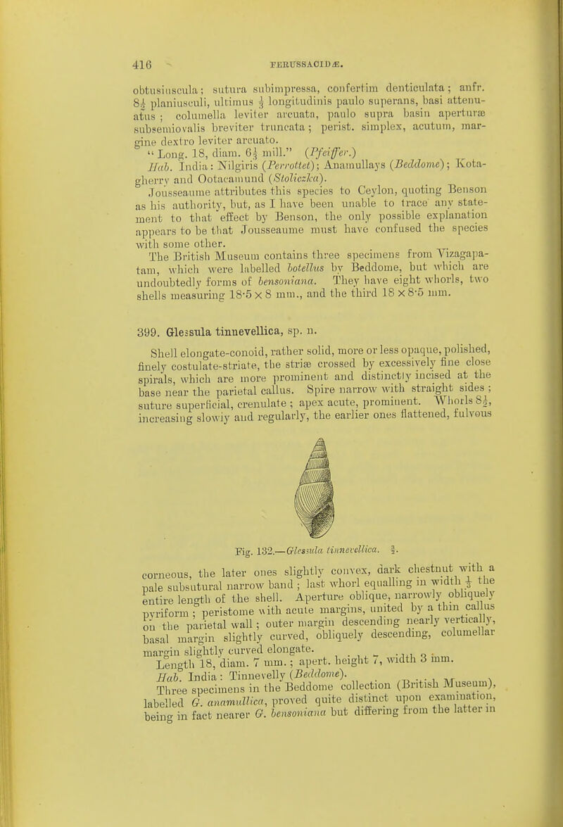 obtiisiiiscula; sutiu-a subimpressa, conferl im denticulata; anfr. 84 planiusculi, uliiinus g longitudiiiis paulo superans, basi altenu- atus ; columella leviter arcuata, paulo supra basin apertiiriB subseniiovalis breviter truncata; perist. simplex, acutum, mar- gine dextro leviter arcuato.  Long. 18, diam. 6,^ mill. (Pfeifer.) Hah. India: Nilgiris (Perroiiet); Anamullays (Beddome); Kota- glierrv and Ootacaiiiund {Sl.oliczJca). .Tousseaume attributes this species to Ceylon, quoting Benson as his authority, but, as I have been unable to trace any state- ment to that effect by Benson, the only possible explanation appears to be that Jousseaume must have confused the species with some other. The British Museum contains three specimens from Vizagapa- tam, which were labelled hotellus by Beddome, but which are undoubtedly forms of bensoniana. They have eight whorls, two shells measuring 18-5x8 mm., and the third 18 x 8-5 mm. 399. Glessula tinnevellica, sp. n. Shell elongate-conoid, rather solid, more or less opaque, polished, finely costulate-striate, the strias crossed by excessively fine close spirals, which are more prominent and distinctly incised at the base near the parietal callus. Spire narrow with straight sides^; suture superlicial, crenulate ; apex acute, prominent. Whorls 8^, increasing slowiy and regularly, the earlier ones flattened, iulvous Fig. 132.—Glcsiula iinnevellica. J. corneous, the later ones slightly convex, dark chestnut with a pale subsutural narrow band ; last whorl equalhng m width i the entire length of the shell. Aperture oblique, narrowly obhquely pvriform : peristome v^ith acute margins, united by a thin callus ou the parietal wall; outer nuirgin descending nearly vertically, basal margin slightly curved, obliquely descending, columellar margin slightly curved elongate. o • Length 18,'diam. 7 mm.; apert. height /, width 3 mm. Hah. India : Tinnevelly {Beddome). Three specimens in the Beddome collection (British Museum), labelled G. anamxdlim, proved quite distinct upon examination, being in fact nearer G. bensoniana but differing from the latter in