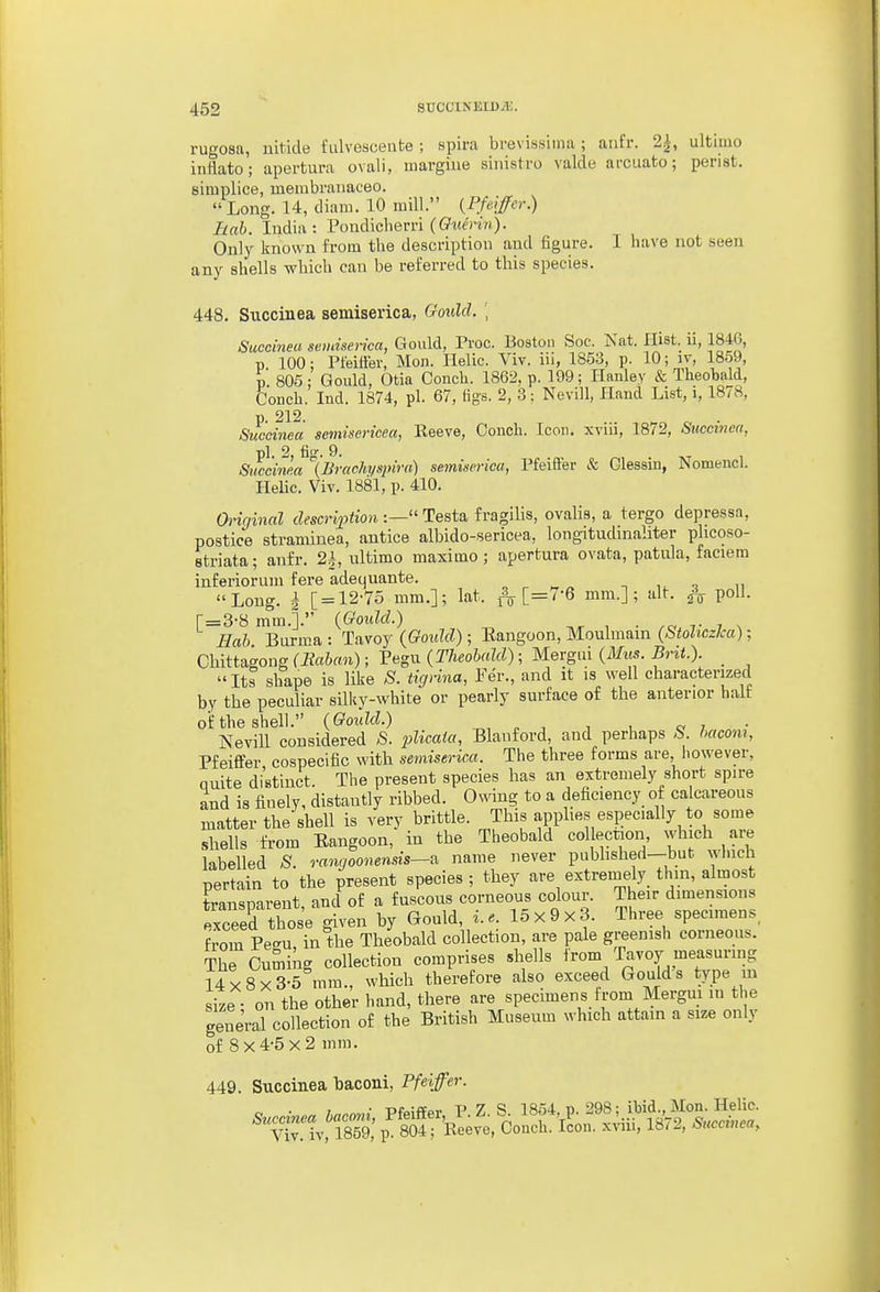 rugosa, nitide fulvescente ; spira brevissiina ; anfr. 2.i, ultimo infiato; apertura ovali, margiue sinisti-o valcle arcuato; perist. simplice, inembranaceo.  Long. 14, diara. 10 mill. {Pfeifer.) hah. India: Pondiclierri (ffitmw)- Only known from the description and figure. I have not seen any shells which can be referred to this species. 448. Succinea semiserica, Goidd. \ Suecineu semiserica, Gould, Proc. Boston Soc. Nat. Hist, ii, 1840, p 100; Pleiffer, Mon. Helic. Viv. in, 1853, p. 10; iv, 1859, p. 805; Gould, Otia Conch. 1862, p. 199; Hanley & Theobald, Conch. Ind. 1874, pi. 67, Kgs. 2, 3: Nevill, Hand List, i, 18/8, p. 212. Succinea semisericea, Keeve, Conch. Icon, xvui, 1872, Succmea, pi. 2, fio'. 9. Succinea ^Brachyspira) semiserica, Pfeiffer & Glessin, Nomencl. Helic. Viv. 1881, p. 410. Ch'iginal descriftion :— Testa fragilis, ovalis, a tergo depressa, postice straminea, antice albido-sericea, longitudinahter phcoso- etriata; anfr. 2h, ultimo maximo; apertura ovata, patula, faciera inferiorum fere adequante. „ ^ „ „ , ,i Long, h [ = 12-75 mm.]; lat. [=7-6 mm.]; alt. poll. r = 3-8 mm.]. {Gould.) • 7- 7 n Hah Burma : Tavoy (Gould); Eangoon, Moulmain (Stoliczka); Chittagoug (Bahan); Pegu (Theohald); Mergui (Mus. Brit.). _ Its shape is like S. tigrina, Per., and it is well characterized by the peculiar silky-white or pearly surface of the anterior halt of the shell. (Gould.) ^, , ^ , , c / Nevill considered ;S. ^^Zicato, Blanford, and perhaps ,S^. hacom, Pfeififer cospecific with semiserica. The three forms are however, Quite distinct. The present species has an extremely short spire and is finely, distantly ribbed. Owing to a deficiency of calcareous matter the shell is very brittle. This applies especially to some shells from Eangoon, in the Theobald collection, which are labelled S. rangoonensis—a name never published—but which pertain to the present species; they are extremely thin, almost transnarent and of a fuscous corneous colour. Their dimensions Sceertho- given by Gould, i.. 15x9x3. Three specimens, from Peeu in the Theobald collection, are pale greenish corneous. The Cuming collection comprises shells from Tavoy measuring 14x8x3-5 mm., which therefore also exceed Gould's type in size • on the other hand, there are specimens from Mergm in the gene'ral collection of the British Museum which attain a size only of 8x4-5x2 mm. 449. Succinea baconi, Pfeiffer.