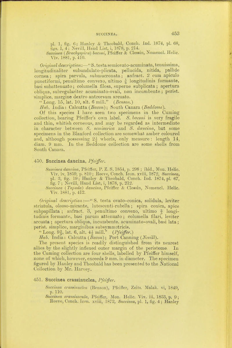 pi. ], fig. C>; Ilniiley & Theobald, Condi. Ind. 1874, pi. 68, lio-s. 1, 4; Xevill, llaiid List, i, 1878, p. 214. Sticciiiea (Brachyspira) hticmii, Pfeiffer & Clessiii, Noinencl. Ilelic. Viv. 1881, p. 410. Ov'ujinul description:—S. testasemiovalo-acuminata, tenuissima, loiigitudinalitei' subiindiilato-plicata, pelliicida, nitida, pallide cornea; spira pai'vula, subiuucronata; ant'ract. 2 cum apiculo puiictiFormi, peaultimo convexo, ultimo % longitudinis formante, basi subattenuato; columella filosa, superne subplicata ; apertura obliqua, subregulariter acuminato-ovali, non incumbente; perist. simplice, margine dextro antrorsum arcuato.  Long. 15, lat. 10, alt. 6 mill. {Benson.) Hab. India: Calcutta {Bacon); South Canara {Beddome). Of tins species I have seen two specimens in the Cuming collection, bearing Pfeiffer's own label. S. baconi is very fragile and thin, whitish corneous, and may be regarded as intermediate in character between 'S'. semiserica and S. daucina, but some specimens in the Blauford collection are somewhat amber coloured and, although possessing 24 whorls, only measure: length 14, diam. 9 mm. In the Beddome collection are some shells from South Canara. 450. Succinea daucina, Pfeiffer. Succlnea dauciva, Pfeiffer, P. Z. S. 1854, p. 298 ; ibid., Won. Helic. Viv. iv, 1859, p. 810; Keeve, Conch. Icon, xviii, 1872, Succinea, pi. 3, hg. 19; Ilanley & Theobald, Concb. Ind. 1874, pi. 67, lig. 7 ; Nevill, Hand List, i, 1878, p. 212. Succi7iea (Tapada) dauciiia, Pfeiffer & Clessin, Nomencl. Ilelic. Viv. 1881, p. 412. Original description:— S. testa ovato-conica, solidula, leviter striatula, oleoso-micante, lutescenti-rubella; spira conica, apice subpapillata ; anfract. 3, pen ultimo convexo, ultimo |- longi- tudinis formante, basi paruni attenuato; columella filari, leviter arcuata ; apertui'a obliqua, incumbeute. acuminato-ovali, basi lata; perist. simplice, marginibus subsymmstricis.  Long. 9|, lat. 6, alt. 4| mill. {Pfeifer.) Hab. India: Calcutta (5aco>i); Port Canning (iVmZZ). The present species is readily distinguished from its nearest allies by the slightly indexed outer margin of the peristome. In the Cuming collection are four shells, labelled by Pfeiffer himself, none of which, how ever, exceeds 9 mm. in diameter. The specimen figured by Hanley and Theobald has been presented to the JSIational Collection by Mr. Harvey. 451. Succinea crassinuclea, Pfeiffer. Succinea crassinuclea (Benson), Pfeiffer, Zeits. Malalc. vi, 1849, p. 110. Succinea crassiuscula, Pfeiffer, Mon. Helic. Viv. iii, 1853, p, 9; Eeeve, Conch. Icon, xviii, 1872, Succinea,-p]. 1, fig. 4; Hanley