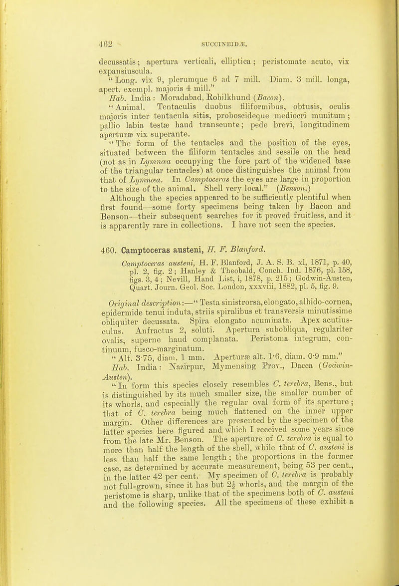 (lecussatis; apertura verticali, elliptica; peristomate acuto, vix expaiisiiiscula.  Long, vix 9, pleruinque G ad 7 mill. Diam. 3 mill, longa, apert. exempl. majoris 4 mill. Hah. India: Moradabad, Eohilkhund (^f/coji).  Animal. Tentaculis duobns filiformibus, obtusis, oeulis majoris inter tentacula sitis, proboscideqiie mediocri munitum ; pallio labia testae baud transeuute; pede brevi, longitudinem aperturse vix superante.  The form of the tentacles and the position of the eyes, situated between the filiform tentacles and sessile on the head (not as in Li/mnmi occupying the fore part of the widened base of the triangular tentacles) at once distinguishes the animal from that of Lymncea. In Camptoceras the eyes are large in proportion to the size of the animal. Shell very local. {Benson.) Although the species appeared to be sufficiently plentiful when first found—some forty specimens being taken by Bacon and Benson—their subsequent searches for it proved fruitless, and it is apparently rare in collections. I have not seen the species. 460. Camptoceras austeni, H. F. Blanford. Camptoceras austeni, H. F. Blanford, J. A. S. B. xl, 1871, p. 40, pi. 2, fig. 2; Hanley & Theobald, Conch. lud. 1876, pi. 168, figs. 3, 4 ; Nevill, Hand List, i, 1878, p. 215; Godwin-Austeri, Quart. Joiu-n. Geol. See. Loudon, xxxviii, 1882, pi. 5, fig. 9. Orici 'mal desci-iption:— Testa sinistrorsa, elongato, albido-cornea, epidermide tenui induta, striis spiralibus et transversis minutissime obliquiter decussata. Spira elongato acuminata. Apex acutius- culus. Aufractus 2, soluti. Apertura subobliqua, regulariter ovalis, superne baud complanata. Peristoma integrum, con- tinuum, fusco-marginatum. Alt. 3-75, diam. 1 mm. Aperturae alt. 1-6, diam. 0-9 mm. Hah. India: Kazii-pxir, Mymensing Prov., Dacca {Godwin- Austeti).  In form this species closely resembles C. terehra, Bens., but is distinguished by its much smaller size, the smaller number of its whorls, and especially the regular oval form of its aperture; that of C. terehra being much flattened on the inner upper margin. Other differences are presented by the specimen of the latter species here figured and which I received some years since from the late Mr. Benson. The aperture of C. terehra is equal to more than half the length of the shell, while that of C. austeni is less than half the same length; the proportions in the former case, as determined by accurate measurement, being 53 per cent., in the latter 42 per cent. My specimen of C. terehra is probably not full-grown, since it has but 2^ whorls, and the margui of the peristome is sharp, unlike that of the specimens both of C austeni and the following species. All the specimens of these exhibit a