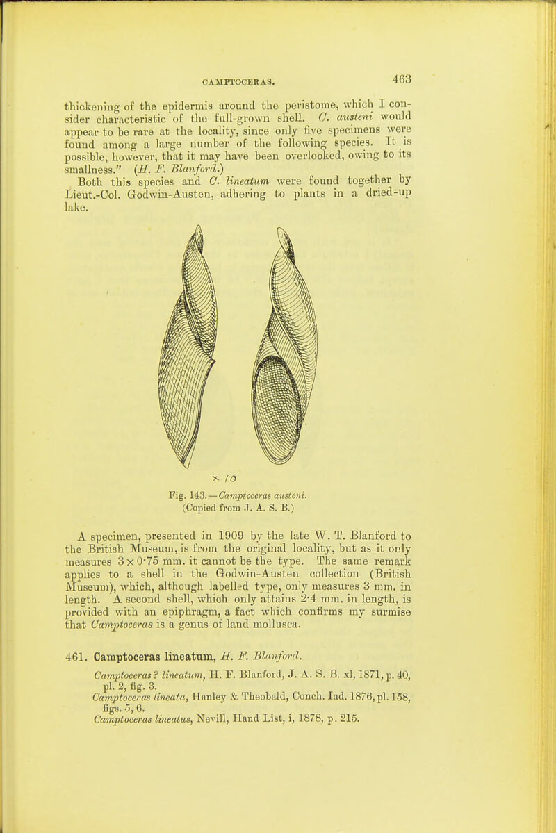 thickening of the epidermis around the peristome, which I con- sider characteristic of the full-grown shell. 0. austeni would appear to be rare at the locality, since only five specimens were found among a large number of the following species. It is possible, however, that it may have been overlooked, owing to its smallness. \h. F. Blanford.) Both this species and C. lineatum were found together by Lieut.-Col. God win-Austen, adhering to plants in a dried-up lake. X 10 Fig. 143. — Camptoceras austeni. (Copied from J. A. S. B.) A specimen, presented in 1909 by the late W. T. Blanford to the British Museum, is from the original locality, but as it only measures 3 x 0'75 mm. it cannot be the type. The same remark applies to a shell in the Godwin-Austen collection (British Museum), which, although labelled type, only measures 3 mm. in length. A second shell, which only attains 2-4 mm. in length, is provided with an epiphragm, a fact which confirms my surmise that Camptoceras is a genus of land moUusca. 461. Camptoceras lineatum, H. F. Blanford. Cajnptoceras ? lineatum, H. F. Blanford, J. A. S. B. xl, 1871, p. 40, pi. 2, fig. 3. Camptoceras lineata, Hanley & Theobald, Conch. Ind. 1876, pi. 158, figs. 6, 6. Camptoceras lineatus, Nevill, Hand List, i, 1878, p. 216.