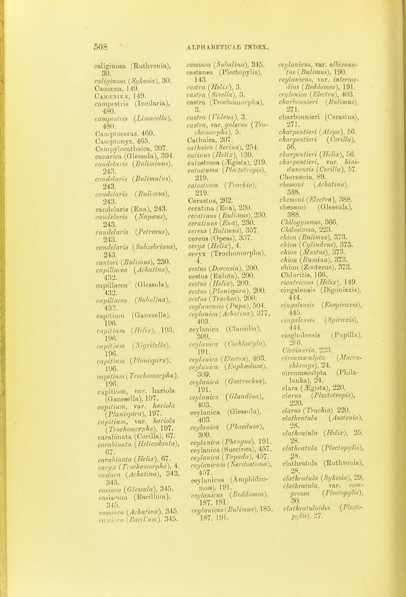 caligiuosn, (Riithvenia), 30. califi'inosa {Si/lcesia), 30. Caiiireim, 141). Oa.m.knin.h, 149. ciiinpcstris (Incilai'ia), 480. campcsU-h (JAmacella), 480. Cnniploceras, 400. Caiiiptonyx, 465. O»m]j}'looatlmioa, 207. oaimrica (Glessula), 394. canddaris {Biilimmus), 243. cdiidiiaris (Bitlimuhis), 243. ca nddaris (Bitlim us), 243. canclelaria (Ena), 243. can dclaris (Na.pceus), 243. canddaris {Pelraeus), 243. canddaris (S'uh:ehrinus), 243. cantm-i {Bidimus), 230. capillacea {Achatina), 432. capillacea (Glessula), 432. capillacea (Snhnlina), 432. oapitiiiin (Ganesella), 19(i. capilium (Hdi.v), 193, 190.. copi/ium (Kigritdla), 196. capiiliim (I'lanispira), 196. capititim (Trochomorpha), 196. capitiiim, var. hariola (Ganesella), 197. capitiiim, var. hariola {Plani!>pira), 197. cnpitium, var. lia.riola (Trochomorpha), 197. cavabiiiata (Gorilla), 67. carabiiiuta (Hciicodonia), G7. carahinata {Helix), 67. car.y.r f Trochomorpha), 4. casiaca {Achatina), 343, 345. casiaca {Glessula), 345. easia^um (Bacilluni), 345. cnssinca {Acha/iva), 345. cas>ii:ai (Bacil'iim), 345. cassiaca {Suhulina), 345. cnslanen (Plectopylis), 143. casira {Helix), 3. casfra {Sivdla), 3. eastra (Trocliomor))lm), 3. castra {Videiia), 3. eastra, var. galeriis { Tro- chomorpha). 5. Oalliaica, 207. cathaica (Serina), 254. caliirus (Heli.v), 130. calostoina (yEgista), 219. cnios/oma (Phctofropis), 219. calosloma (Trachia), 219. Cerastiis, 262. ceratina (Bna), 230. ceratinus {Bulimus), 230. ceraiinus (Ena), 230. ccrcjjs (Bulimus), 357. cereus (Opeas), 357. ecr;/.v {Helix), 4. ceryx (Trochoiuorplia), 4. ccsilMS (Dorcasia), 200. cestiia (Eulota), 200. ccsi-afs (iJe/ir), 200. ces!!/(s (Planispira), 200. wsi-rts {Trachea), 200. ccylanensis {Pupa), 504. cei/lanica {Achatina), 377, '403. ceylanica (Olaiisilia'), 309. ccijlan ica (CV/; lostyla), 191. ceylanica (Etcctra), 403. ceylanica {Ewphcedusa), 309. ceylanica {Geotrochus), '191. ceylanicx (Glandina), 403. ceylanica (Glessula), 403. cei/lanica {Phaedusa), '309. ceylanica (Phenyus), 191. ceylanica (Succinea), 457. ceylanica {Topada), 457. ce'i/lanicum (Neritostoma), 457. coylaniciis (Ampliidro- 'nuis), 191. ccylanicus {Beddomca), 187. 191. ccylanicus (Bulimus), 185, 187, 191. ceylanicus, var. alhizona- tiis (Bulimus), 190. ceylanicus, vnr. interme- dins (Beddo'inea), 191. cei/louica (Klectra), 403. charhoiinieri (Bidimus), 271. cliarbonniori (Ceraslus), 271. charpenticri (Atopa), 56. chnrpeiitieri {Corilla), 56. chorpcntieri {Helix), 56. charpentieri, var. 7ii;«'- duncnsis (Corilla), 57. Cbersiwia, 89. chessoni (Achatina), 388. chessoni (Electro), 388. chessoni (Glessula), 388. Chilogym7ius, 366. Chilosioma, 223. c/«'o». (Biilimus), 373. c/t?0M (Cylindriis), 373. c/i/o!(. (Mastus), 373. cAiow {Rumina), 373. chion (Zootecus), 373. Ohloritis, 166. cicafricosa (Helix), 149. cingalensis (Digoniaxis), 444. cingalensis {Eusjm-axis), 445. cingalensis (Spiralis), 444. cingliiilensis (Pupilla), 2S6. Circiimria, 223. circnmsculpia, (Macro- chlamys), 24. circiiuisculpta (Phila- lanka), 24. clara (iEgista), 220. clarus (PlectotrojMs), 220. eZar/ts (Trachia). 220. clathratula {Aiistenia\ 28. clathrainla. (Helix), 25. 28. clttthratida {Plectopylis), 28. clathratula (Rutlivenia), 28. dathratula {Sykesia), 29. clathratula, var. ^-owi- 7;)rss(i {Plectopylis), 30. claihratuloides {Plecto- pylis), 27.