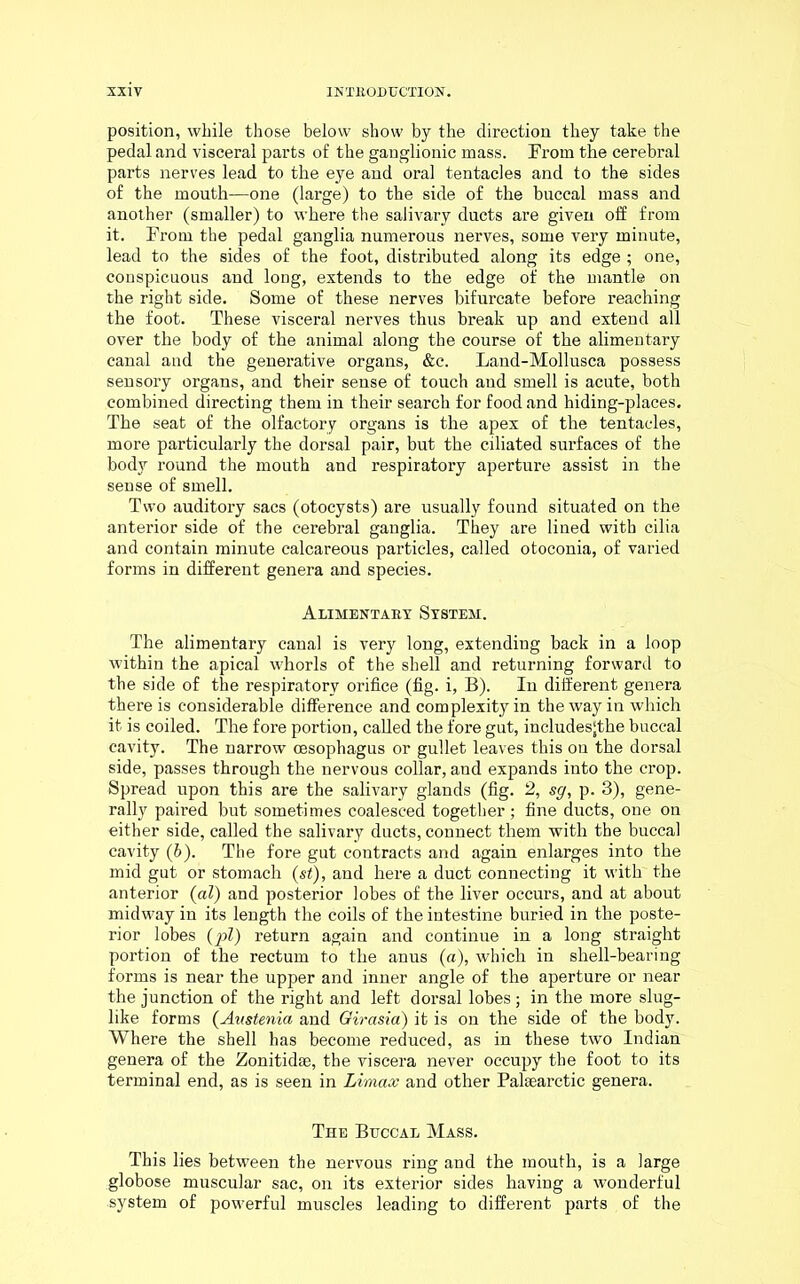 position, while those below show by the direction they take the pedal and visceral parts of the ganglionic mass. From the cerebral parts nerves lead to the eye and oral tentacles and to the sides of the mouth—one (large) to the side of the buccal mass and another (smaller) to where the salivary ducts are given off from it. From the pedal ganglia numerous nerves, some very minute, lead to the sides of the foot, distributed along its edge ; one, conspicuous and long, extends to the edge of the mantle on the right side. Some of these nerves bifurcate before reaching the foot. These visceral nerves thus break up and extend all over the body of the animal along the course of the alimentary canal and the generative organs, &c. Land-Mollusca possess sensory organs, and their sense of touch and smell is acute, both combined directing them in their search for food and hiding-places. The seat of the olfactory organs is the apex of the tentacles, more particularly the dorsal pair, but the ciliated surfaces of the body round the mouth and respiratory aperture assist in the sense of smell. Two auditory sacs (otocysts) are usually found situated on the anterior side of the cerebral ganglia. They are lined with cilia and contain minute calcareous particles, called otoconia, of varied forms in different genera and species. Alimentary System. The alimentary canal is very long, extending back in a loop within the apical whorls of the shell and returning forward to the side of the respiratory orifice (fig. i, B). In different genera there is considerable difference and complexity in the way in which it is coiled. The fore portion, called the fore gut, includesjthe buccal cavity. The narrow oesophagus or gullet leaves this on the dorsal side, passes through the nervous collar, and expands into the crop. Spread upon this are the salivary glands (fig. 2, sg, p. 3), gene- rally paired but sometimes coalesced together ; fine ducts, one on either side, called the salivary ducts, connect them with the buccal cavity (b). The fore gut contracts and again enlarges into the mid gut or stomach (si), and here a duct connecting it with the anterior (al) and posterior lobes of the liver occurs, and at about midway in its length the coils of the intestine buried in the poste- rior lobes (pi) return again and continue in a long straight portion of the rectum to the anus (a), which in shell-bearing forms is near the upper and inner angle of the aperture or near the junction of the right and left dorsal lobes ; in the more slug- like forms (Austenia and Girasia) it is on the side of the body. Where the shell has become reduced, as in these two Indian genera of the Zonitidae, the viscera never occupy the foot to its terminal end, as is seen in Limax and other Palsearctic genera. The Buccal Mass. This lies between the nervous ring and the mouth, is a large globose muscular sac, on its exterior sides having a wonderful system of powerful muscles leading to different parts of the