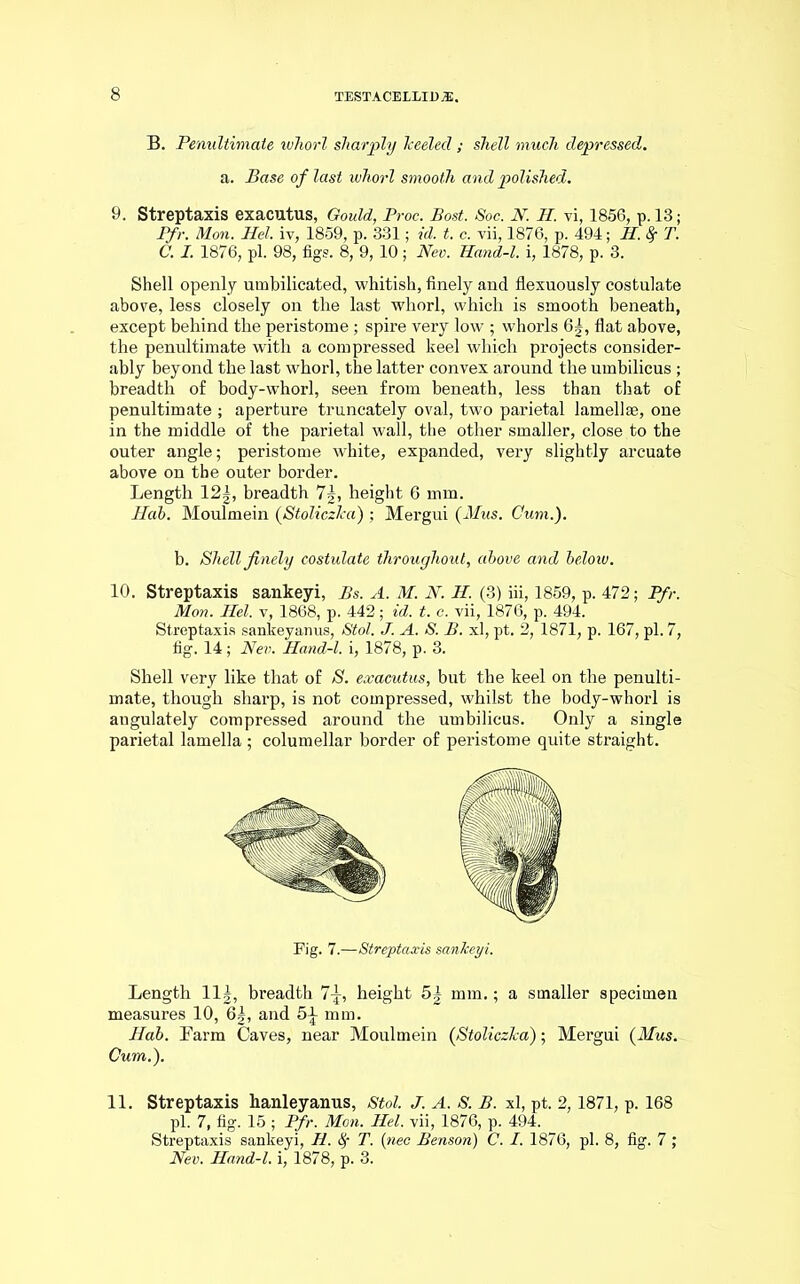 B. Penultimate whorl sharply heeled ; shell much depressed. a. Base of last whorl smooth and polished. 9. Streptaxis exacutus, Gould, Proc. Bost. Soc. N. H. vi, 1856, p. 13; Pfr. Mon. Hel. iv, 1859, p. 331; id. t. c. vii, 1876, p. 494; H.fyT. C. I. 1876, pi. 98, figs. 8, 9,10; Nev. Hand-l. i, 1878, p. 3. Shell openly umbilicated, whitish, finely and flexuously costulate above, less closely on the last whorl, which is smooth beneath, except behind the peristome; spire very low ; whorls 6|, flat above, the penultimate with a compressed keel which projects consider- ably beyond the last whorl, the latter convex around the umbilicus ; breadth of body-whorl, seen from beneath, less than that of penultimate ; aperture truncately oval, two parietal lamellae, one in the middle of the parietal wall, the other smaller, close to the outer angle; peristome white, expanded, very slightly arcuate above on the outer border. Length 12|, breadth 7\, height 6 mm. Hah. Moulmein (Stoliczha) ; Mergui (Mus. Cum.). b. Shell finely costulate throughout, above and below. 10. Streptaxis sankeyi, Bs. A. M. N. H. (3) iii, 1859, p. 472; Pfr. Mon. Hel. v, 1868, p. 442; id. t. c. vii, 1876, p. 494. Streptaxis sankeyanus, Stol. J. A. S. B. xl, pt. 2, 1871, p. 167, pi. 7, fig. 14; Nev. Hand-l. i, 1878, p. 3. Shell very like that of S. exacutus, but the keel on the penulti- mate, though sharp, is not compressed, whilst the body-whorl is angulately compressed around the umbilicus. Only a single parietal lamella ; columellar border of peristome quite straight. Fig. 7.—Streptaxis sankeyi. Length 11J, breadth 7\, height 5| mm.; a smaller specimen measures 10, 6g, and 5^ mm. Hab. Barm Oaves, near Moulmein (Stoliczha); Mergui {Mus. Cum.). 11. Streptaxis hanleyanus, Stol. J. A. S. B. xl, pt. 2,1871, p. 168 pi. 7, fig. 15 ; Pfr. Mon. Hel. vii, 1876, p. 494. Streptaxis sankeyi, H. fy T. (nee Benson) C. I. 1876, pi. 8, fig. 7; Nev. Hand-l. i, 1878, p. 3.