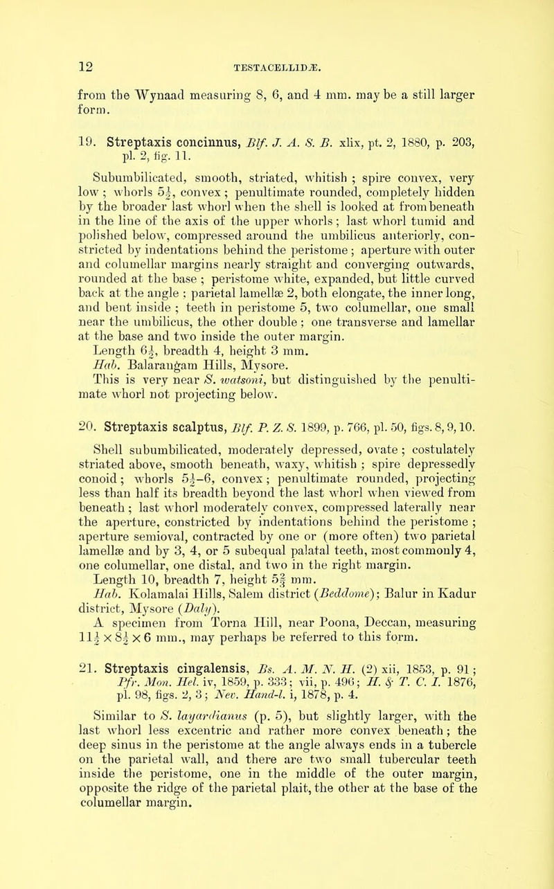 from tbe Wynaad measuring 8, 6, and 4 mm. may be a still larger form. 19. Streptaxis concinnus, Blf. J. A. S. B. xlix, pt. 2, 1880, p. 203, pi. 2, fig. 11. Subumbilicated, smooth, striated, whitish ; spire convex, very low ; whorls 5|, convex ; penultimate rounded, completely hidden by tbe broader last whorl when the shell is looked at from beneath in the line of the axis of the upper whorls; last whorl tumid and polished helow, compressed around the umbilicus anteriorly, con- stricted by indentations behind the peristome ; aperture with outer and columellar margins nearly straight and converging outwards, rounded at the base ; peristome white, expanded, but little curved back at the angle ; parietal lamellae 2, both elongate, the inner long, and bent inside ; teeth in peristome 5, two columellar, one small near the umbilicus, the other double; one transverse and lamellar at the base and two inside the outer margin. Length 6|, breadth 4, height 3 mm. Hab. Balarangam Hills, Mysore. This is very near S. watsoni, but distinguished by the penulti- mate whorl not projecting below. 20. Streptaxis scalptus, Blf. P. Z. S. 1899, p. 766, pi. 50, figs. 8,9,10. Shell subumbilicated, moderately depressed, ovate ; costulately striated above, smooth beneath, waxy, whitish ; spire depressedly conoid; whorls 5g—6, convex; penultimate rounded, projecting less than half its breadth beyond the last whorl when viewed from beneath ; last whorl moderately convex, compressed laterally near the aperture, constricted by indentations behind the peristome ; aperture semioval, contracted by one or (more often) two parietal lamellae and by 3, 4, or 5 subequal palatal teeth, most commonly 4, one columellar, one distal, and two in the right margin. Length 10, breadth 7, height 5| mm. Hab. Kolamalai Hills, Salem district (Bedclome); Balur in Kadur district, Mysore {Daly). A specimen from Torna Hill, near Poona, Deccan, measuring 11| X 8g X 6 mm., may perhaps be referred to this form. 21. Streptaxis cingalensis, Bs. A. M. N. H. (2) xii, 1853, p. 91; Pfr. Mon. Mel. iv, 1859, p. 333; vii, p. 496; H. fy T. C. I. 1876, pL 98, figs. 2, 3; Nee. Hand-l. i, 1878, p. 4. Similar to S. layardianus (p. 5), but slightly larger, with the last whorl less excentric and rather more convex beneath ; the deep sinus in the peristome at the angle always ends in a tubercle on the parietal wall, and there are two small tubercular teeth inside the peristome, one in the middle of the outer margin, opposite the ridge of the parietal plait, the other at the base of the columellar margin.