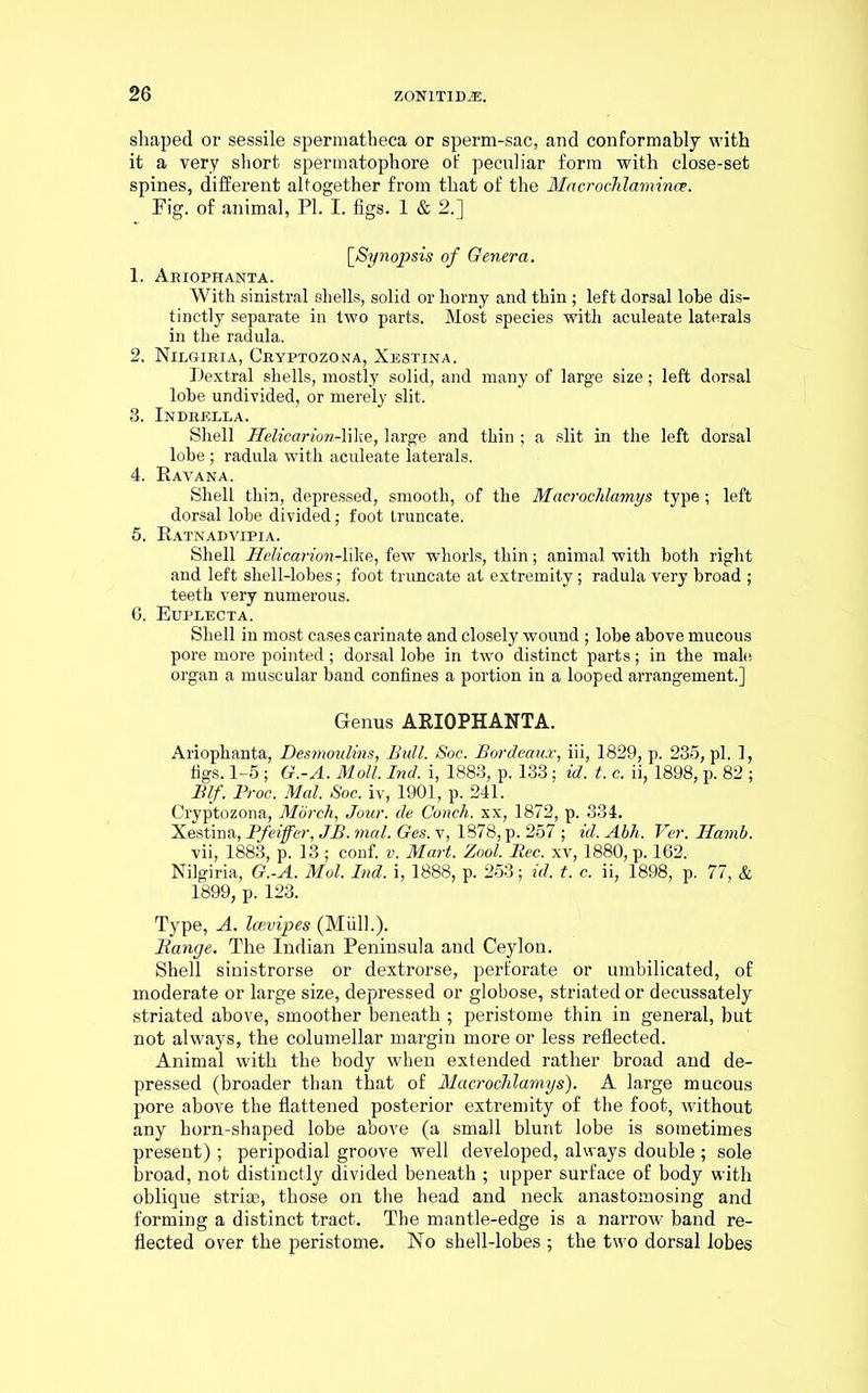 shaped or sessile spermatheca or sperm-sac, and conformably with it a very short spermatophore of peculiar form with close-set spines, different altogether from that of the Macrochlamince. Fig. of animal, PI. I. figs. 1 & 2.] [Synopsis of Genera. 1. Abiophanta. With sinistral shells, solid or horny and thin; left dorsal lohe dis- tinctly separate in two parts. Most species with aculeate laterals in the radula. 2. Nilgibia, Cbyptozona, Xestina. Dextral shells, mostly solid, and many of large size; left dorsal lobe undivided, or merely slit. 3. Indbella. Shell Helicarion-like, large and thin ; a slit in the left dorsal lobe j radula with aculeate laterals. 4. Ravana. Shell thin, depressed, smooth, of the Macrochlamys type; left dorsal lohe divided; foot truncate. 5. Ratnadvipia. Shell Helicarion-like, few whorls, thin; animal with both right and left shell-lobes; foot truncate at extremity; radula very broad ; teeth very numerous. 6. Euplecta. Shell in most cases carinate and closely wound ; lobe above mucous pore more pointed; dorsal lobe in two distinct parts; in the male, organ a muscular band confines a portion in a looped arrangement.] Genus ARIOPHANTA. Ariophanta, Desmoulins, Bull. Soc. Bordeaux, iii, 1829, p. 235, pi. 1, figs. 1-5; G.-A. Moll. Ind. i, 1883, p. 133; id. t. c. ii, 1898, p. 82 ; Blf. Proc. Mai. Soc. iv, 1901, p. 241. Cryptozona, Morch, Jour, de Conch, xx, 1872, p. 334. Xestina, Pfeiffer, JB. mal. Ges. v, 1878, p. 257 ; id. Abh. Ver. Hamb. vii, 1883, p. 13 ; conf. v. Mart. Zool. Rec. xv, 1880, p. 162. Nilgiria, G.-A. Mol. Ind. i, 1888, p. 253; id. t. c. ii, 1898, p. 77, & 1899, p. 123. Type, A. Icevipes (Miill.). Range. The Indian Peninsula and Ceylon. Shell sinistrorse or dextrorse, perforate or umbilicated, of moderate or large size, depressed or globose, striated or decussately striated above, smoother beneath ; peristome thin in general, but not always, the columellar margin more or less reflected. Animal with the body when extended rather broad and de- pressed (broader than that of Macrochlamys). A large mucous pore above the flattened posterior extremity of the foot, without any horn-shaped lobe above (a small blunt lobe is sometimes present) ; peripodial groove well developed, always double ; sole broad, not distinctly divided beneath ; upper surface of body with oblique striae, those on the head and neck anastomosing and forming a distinct tract. The mantle-edge is a narrow band re- flected over the peristome. No shell-lobes ; the two dorsal lobes