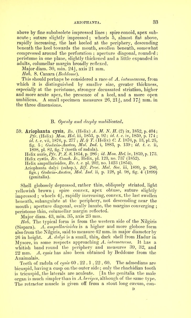 above by fine subobsolete impressed lines ; spire conoid, apex sub- acute ; suture slightly impressed; whorls 5, almost flat above, rapidly increasing, the last keeled at the periphery, descending beneath the keel towards the mouth, swollen beneath, somewhat compressed around the perforation ; aperture diagonal, rounded; peristome in one plane, slightly thickened and a little expanded in adults, columellar margin broadly re flexed. Major diam. 30, min. 24^, axis 21 mm. Hab. S. Canara (Beddome). This should perhaps be considered a race of A. intumescens, from which it is distinguished by smaller size, greater thickness, especially at the peristome, stronger decussated striation, higher and more acute apex, the presence of a keel, and a more open umbilicus. A small specimen measures 26, 21|, and 17f mm. in the three dimensions. B. Openly and deeply umbilicated. 59. Ariophanta cysis, Bs. (Helix) A. M. N. H. (2) ix, 1852, p.404; Pfr. (Helix) Mon. Hel. iii, 1853, p. 92; id. t. c. iv, 1859, p. 174 ; id. t. c. vii, 1876, p. 277 ; H. $ T. (Helix) C. I. 1876, p. 13, pi. 25, fig. 5 ; Godzvin-Austen, Mol. Ind. i, 1883, p. 139 ; id. t. c. ii, 1898, pi. 82, fig. 7 (teeth of radula). Helix auris, Pfr. P. Z. S. 1854, p. 286; id. Mon. Hel. iv, 1859, p. 173. Helix cystis, Rv. Conch. Ic., Helix, pi. 123, no. 737 (1852). Helix ampullarioides, Rv. t. c. pi. 202, no. 1423 (1854). Ariophanta dalyi (subsp.), Blf. Proc. Mai. Soc. iii, 1899, p. 280, figs. ; Godioin-Austen, Mol. Ind. ii, p. 128, pi. 98, fig. 4 (1899) (genitalia). Shell globosely depressed, rather thin, obliquely striated, light yellowish brown ; spire convex, apex obtuse, suture slightly impressed ; whorls 4|, rapidly increasing, convex, the last swollen beneath, subangulate at the periphery, not descending near the mouth ; aperture diagonal, ovallv lunate, the margins converging ; peristome thin, columellar margin reflected. Major diam. 43, min. 35, axis 23 mm. Hab. The typical form is from the western side of the Nilgiris (Sispara). A. ampullarioides is a higher and more globose form also from the Nilgiris, said to measure 42 mm. in major diameter by 26 in height. A. dalyi is a small, thin, dark shell from Hadur in Mysore, in some respects approaching A. intumescens. It bas a whitish baud round the periphery and measures 39, 32, and 22 mm. A. cysis has also been obtained by Beddome from the Anaimalais. Teeth of radula of cysis 60.22.1.22.60. The admedians are bicuspid, having a cusp on the outer side; only the rhachidian tooth is tricuspid,.the laterals are aculeate. [In the genitalia the male organ is much simpler than in A. Icevipes, although of the same type. The retractor muscle is given off from a stout long caecum, con-