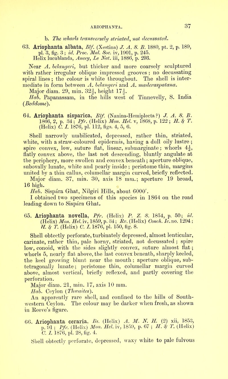 b. The whorls transversely striated, not decussated. 63. Ariophanta albata, Blf. (Xestina) J. A. S. B. 1880, pt. 2, p. 189, pi. 3, fig. 3; id. Proc. Mai. Soc. iv, 1901, p. 245. Helix lucublanda, Ancey, Le Nat. iii, 1886, p. 293. Near A. belangeri, but thicker and more coarsely sculptured with rather irregular oblique impressed grooves ; no decussating spiral lines; the colour is white throughout. The shell is inter- mediate in form between A. belangeri and A. maderaspatana. Major diam. 29, min. 32|, height 17g. Hab. Papanassam, in the hills west of Tinnevelly, S. India (Beddome). 64. Ariophanta sisparica, Blf. (Nanina-Hemiplecta ?) J. A. S. B. 1866, 2, p. 34; Pfr. (Helix) Mon. Hel. v, 1868, p. 122 ; H. Sr T. (Helix) C. I. 1876, pi. 112, figs. 4, 5, 6. Shell narrowly umbilicated, depressed, rather thin, striated, white, with a straw-coloured epidermis, having a dull oily lustre ; spire convex, low, suture fiat, linear, submarginate; whorls 4|, flatly convex above, the last not descending, bluntly angulate at the periphery, more swollen and convex beneath; apertui’e oblique, subovally lunate, white and pearly inside ; peristome thin, margins united by a thin callus, columellar margin curved, briefly reflected. Major diam. 37, min. 30, axis 18 mm.; aperture 19 broad, 16 high. Hob. Sispara Ghat, Nilgiri Hills, about 6000'. I obtained two specimens of this species in 1864 on the road leading down to Sispara Ghat. 65. Ariophanta novella, Pfr. (Helix) P. Z. S. 1854, p. 50; id. (Helix) Mon. Hel. iv, 1859, p. 34; Rv. (Helix) Conch. Ic. no. 1294; H. Sr T. (Helix) C. 1.1876, pi. 150, fig. 8. Shell obteetly perforate, turbinately depressed, almost lenticular, carinate, rather thin, pale horny, striated, not decussated; spire low, conoid, with the sides slightly convex, suture almost flat; whorls 5, nearly flat above, the last convex beneath, sharply keeled, the keel growing blunt near the mouth; aperture oblique, sub- tetragonally lunate; peristome thin, columellar margin curved above, almost vertical, briefly reflexed, and partly covering the perforation. Major diam. 21, min. 17, axis 10 mm. Rab. Ceylon (Thwaites). An apparently rare shell, and confined to the hills of South- western Ceylon. The colour may be darker when fresh, as shown in Reeve’s flgure. 66. Ariophanta ceraria, Bs. (Helix) A. M. N. H. (2) xii, 1853, p. 91; Pfr. (Helix) Mon. Hel. iv, 1859, p. 67 ; H. Sf T. (Helix) C. I. 1876, pi. 28, fig. 4. Shell obteetly perforate, depressed, waxy white to pale fulvous