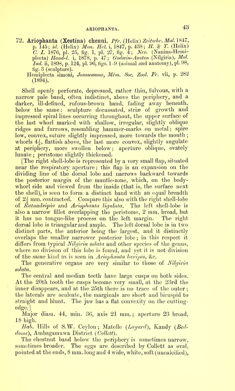 72. Ariophanta (Xestina) chenui, Pfr. (Helix) Zeitschr. Mai. 1847, p. 145; id. (Helix) Mon. Hel. i, 1847, p. 438; II. % T. (Helix) C. I. 1876, pi. 25, fig. 1, pi. 27, fig. 4; Nev. (Nanina-Hemi- plecta) Iland-l. i, 1878, p. 47; Godwin-Austen (Nilgiria), Mol. Ind. ii, 1898, p. 124, pi. 96, figs. 1-9 (animal and anatomy), pi. 98, fig. 3 (sculpture). Hemiplecta simoni, Jousseaume, Mem. Soc. Zool. Fr. vii, p. 282 (1894). Shell openly perforate, depressed, rather thin, fulvous, with a narrow pale band, often indistinct, above the periphery, and a darker, ill-defined, rufous-brown band, fading away beneath, below the same; sculpture decussated, striae of growth and impressed spiral lines occurring throughout, the upper surface of the last whorl marked with shallow, irregular, slightly oblique ridges and furrows, resembling hammer-marks on metal; spire low, convex, suture slightly impressed, more towards the mouth ; whorls 4g, flattish above, the last more convex, slightly angulate at periphery, more swollen below; aperture oblique, ovately lunate; peristome slightly thickened. [The right shell-lobe is represented by a very small flap, situated near the respiratory aperture; this flap is an expansion on the dividing line of the dorsal lobe and narrows backward towards the posterior margin of the mantle-zone, which, on the body- whorl side and viewed from the inside (that is, the surface next the shell), is seen to form a distinct band with an equal breadth of 2^ mm. contracted. Compare this also with the l’ight shell-lobe of Ratnadvipia and Ariophanta ligulata. The left shell-lobe is also a narrow fillet overlapping the peristome, 2 mm. broad, but it has no tongue-like process on the left margin. The right dorsal lobe is triangular and ample. The left dorsal lobe is in two distinct parts, the anterior being the largest, and it distinctly overlaps the smaller narrower posterior lobe; in this respect it differs from typical Nilgiria solata and other species of the genus, where no division of this lobe is found, and yet it is not division of the same kind as is seen in Ariophanta Icevipes, &c. The generative organs are very similar to those of Nilgiria solata. The central and median teeth have large cusps on both sides. At the 20th tooth the cusps become very small, at the 23rd the inner disappears, and at the 25th there is no trace of the outer; the laterals are aculeate, the marginals are short and bicuspid to straight and blunt. The jaw has a flat convexity on the cutting- edge.^ Major diam. 44, min. 36, axis 21 mm.; aperture 23 broad, 18 high. Hah. Hills of S.W. Ceylon; Matelle (Layard), Kandy (Bed- dome), Ambagamuwa District {Collett). The chestnut band below the periphery is sometimes narrow, sometimes broader. The eggs are described by Collett as oval, pointed at the ends, 8 mm. long and 4 wide, white, soft (uncalcified),