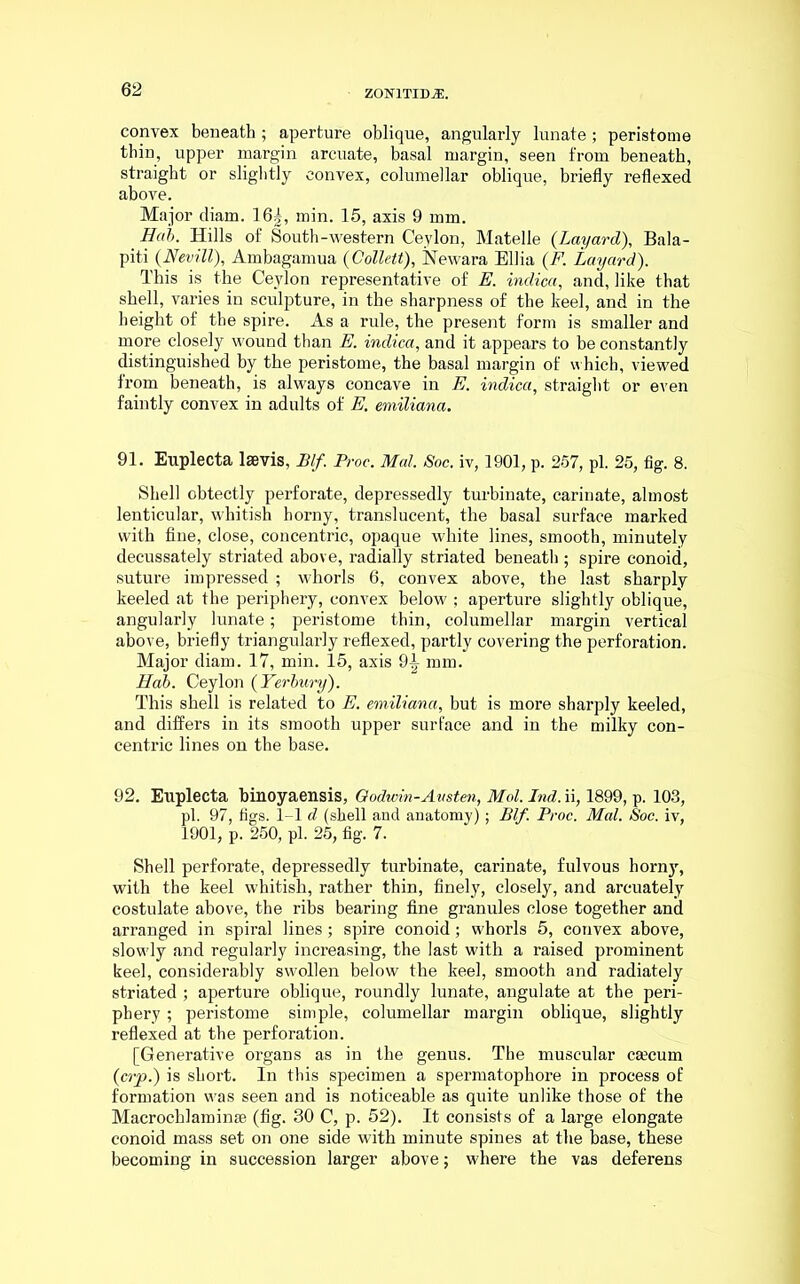 convex beneath ; aperture oblique, angularly lunate ; peristome thin, upper margin arcuate, basal margin, seen from beneath, straight or slightly convex, columellar oblique, briefly reflexed above. Major diam. 16|, min. 15, axis 9 mm. Hcib. Hills of South-western Ceylon, Matelle (Layard), Bala- piti (Nevill), Ambagamua {Collett), Newara Ellia (F. Layard). This is the Ceylon representative of E. indica, and, like that shell, varies in sculpture, in the sharpness of the keel, and in the height of the spire. As a rule, the present form is smaller and more closely wound than E. indica, and it appears to be constantly distinguished by the peristome, the basal margin of which, viewed from beneath, is always concave in E. indica, straight or even faintly convex in adults of E. emiliana. 91. Euplecta laevis, Elf. Proc. Mai. Soc. iv, 1901, p. 257, pi. 25, fig. 8. Shell obtectly perforate, depressedly turbinate, carinate, almost lenticular, whitish horny, translucent, the basal surface marked with fine, close, concentric, opaque white lines, smooth, minutely decussately striated above, radially striated beneath ; spire conoid, suture impressed ; whorls 6, convex above, the last sharply keeled at the periphery, convex below ; aperture slightly oblique, angularly lunate; peristome thin, columellar margin vertical above, briefly triangularly reflexed, partly covering the perforation. Major diam. 17, min. 15, axis 91 mm. Hab. Ceylon (Terbury). This shell is related to E. emiliana, but is more sharply keeled, and differs in its smooth upper surface and in the milky con- centric lines on the base. 92. Euplecta binoyaensis, Oodwin-Amten, Mol. Ind. ii, 1899, p. 103, pi. 97, figs. 1-1 d (shell and anatomy) ; Blf. Proc. Mai. Soc. iv, 1901, p. 250, pi. 25, fig. 7. Shell perforate, depressedly turbinate, carinate, fulvous horn)', with the keel whitish, rather thin, finely, closely, and arcuately costulate above, the ribs bearing fine granules close together and arranged in spiral lines; spire conoid ; whorls 5, convex above, slowly and regularly increasing, the last with a raised prominent keel, considerably swollen below the keel, smooth and radiately striated ; aperture oblique, roundly lunate, angulate at the peri- phery ; peristome simple, columellar margin oblique, slightly reflexed at the perforation. [Generative organs as in the genus. The muscular caecum (crp.) is short. In this specimen a spermatophore in process of formation was seen and is noticeable as quite unlike those of the Macrochlaminse (fig. 30 C, p. 52). It consists of a large elongate conoid mass set on one side with minute spines at the base, these becoming in succession larger above; where the vas deferens