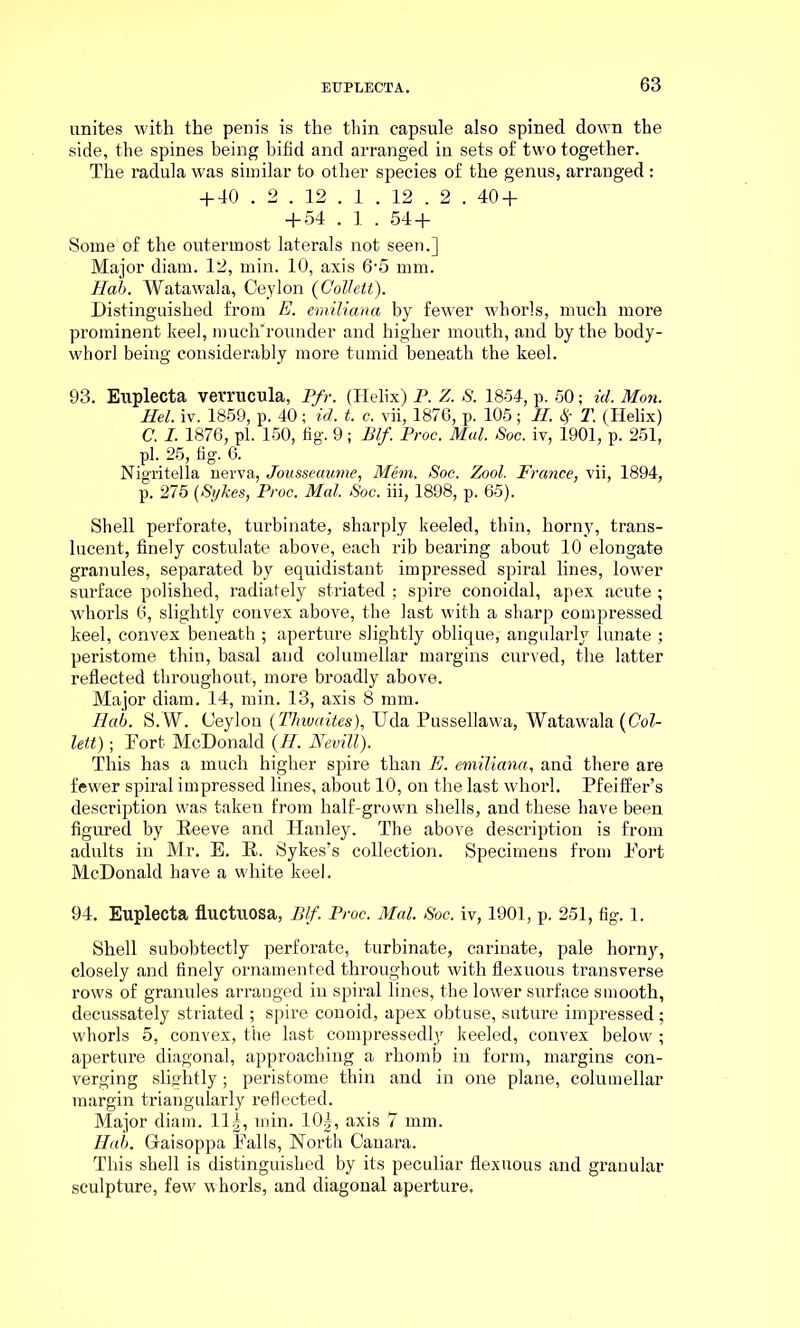 unites with the penis is the thin capsule also spined down the side, the spines being bifid and arranged in sets of two together. The radula was similar to other species of the genus, arranged : + 40 . 2 . 12 . 1 . 12 . 2 . 40 + + 54 . ]. . 54 + Some of the outermost laterals not seen.] Major diam. 12, min. 10, axis 6-5 mm. Hab. Watawala, Ceylon (Collett). Distinguished from E. emiliana by fewer whorls, much more prominent keel, much'rounder and higher mouth, and by the body- whorl being considerably more tumid beneath the keel. 93. Euplecta verrucula, Pfr. (Helix) P. Z. S. 1854, p. 50; id. Mon. Hel. iv. 1859, p. 40 ; id. t. c. vii, 1876, p. 105; H. # T. (Helix) C. I. 1876, pi. 150, fig. 9; Blf. Proc. Mai. Soc. iv, 1901, p. 251, pi. 25, fig. 6. Nigritella nerva, Jousseaume, Mem. Soc. Zool. France, vii, 1894, p. 275 (Sykes, Proc. Mai. Soc. iii, 1898, p. 65). Shell perforate, turbinate, sharply keeled, thin, horny, trans- lucent, finely costulate above, each rib bearing about 10 elongate granules, separated by equidistant impressed spiral lines, lower surface polished, radiately striated ; spire conoidal, apex acute ; whorls 6, slightly convex above, the last with a sharp compressed keel, convex beneath ; aperture slightly oblique,^ angularly lunate ; peristome thin, basal and columellar margins curved, the latter reflected throughout, more broadly above. Major diam. 14, min. 13, axis 8 mm. Hab. S.W. Ceylon (Thwaites), TJda Pussellawa, Watawala (Col- lett) ; Port McDonald (H. Nevill). This has a much higher spire than E. emiliana, and there are fewer spiral impressed lines, about 10, on the last whorl. Pfeiffer’s description was taken from half-grown shells, and these have been figured by Eeeve and Hanley. The above description is from adults in Mr. E. E. Sykes’s collection. Specimens from Port McDonald have a white keel. 94. Euplecta fluctuosa, Blf. Proc. Mai. Soc. iv, 1901, p. 251, fig. 1. Shell subobtectly perforate, turbinate, carinate, pale horny, closely and finely ornamented throughout with flexuous transverse rows of granules arranged in spiral lines, the lower surface smooth, decussately striated ; spire conoid, apex obtuse, suture impressed ; whorls 5, convex, the last compressedly keeled, convex below ; aperture diagonal, approaching a rhomb in form, margins con- verging slightly; peristome tbin and in one plane, columellar margin triangularly reflected. Major diam. 11J, min. 10|, axis 7 mm. Hab. Gaisoppa Palls, North Canara. This shell is distinguished by its peculiar flexuous and granular sculpture, few whorls, and diagonal aperture.