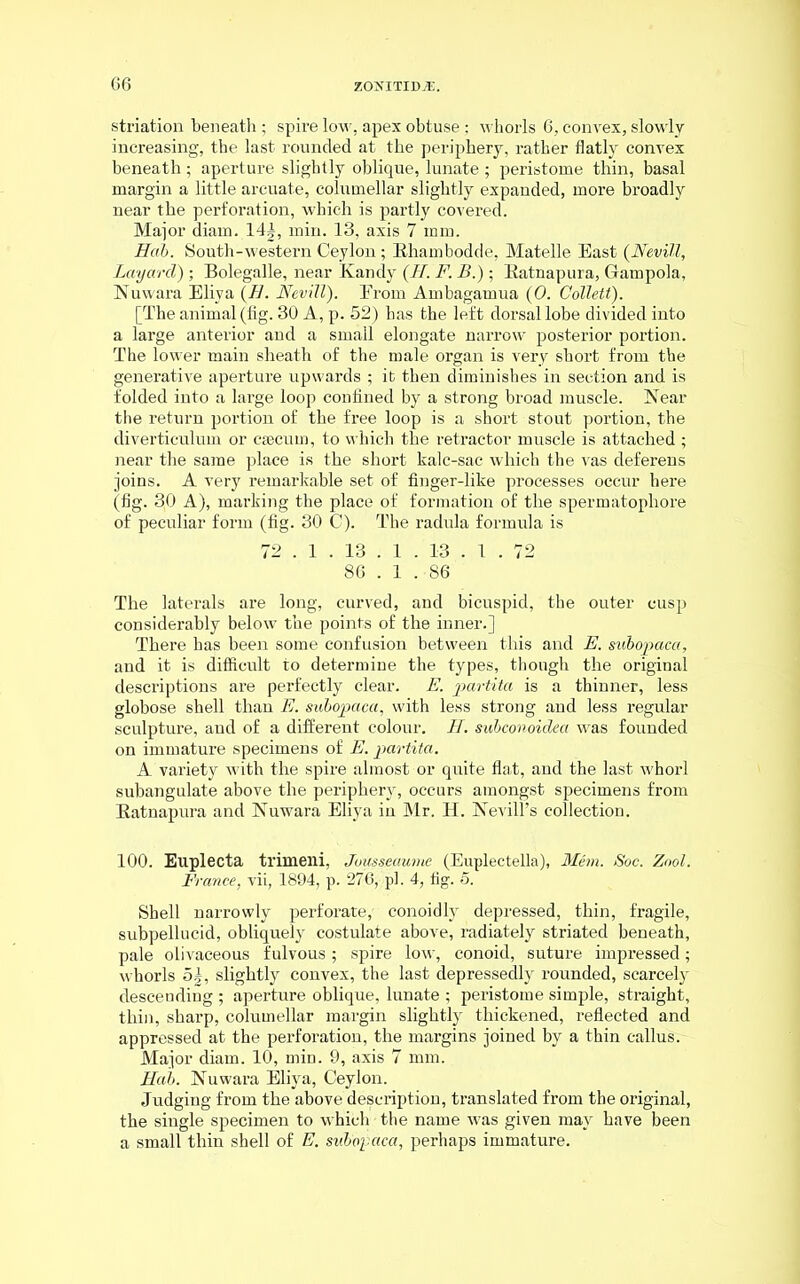 striation beneath ; spire low, apex obtuse ; whorls 6, convex, slowly increasing, the last rounded at the periphery, rather flatly convex beneath ; aperture slightly oblique, lunate ; peristome thin, basal margin a little arcuate, columellar slightly expanded, more broadly near the perforation, which is partly covered. Major diarn. 14|, min. 13, axis 7 mm. Hab. South-western Ceylon; Ehambodde, Matelle East (Nevill, Layctrcl) ; Bolegalle, near Kandy (If. F. B.) • Katnapura, Gampola, Nuwara Eliva (B. Nevill). Erom Ambagamua (0. Collett). [The animal (fig. 30 A, p. 52) has the left dorsal lobe divided into a large anterior and a small elongate narrow posterior portion. The lower main sheath of the male organ is very short from the generative aperture upwards ; it then diminishes in section and is folded into a large loop confined by a strong broad muscle. Near the return portion of the free loop is a short stout portion, the diverticulum or csecum, to which the retractor muscle is attached ; near the same place is the short kalc-sac which the vas deferens joins. A very remarkable set of finger-like processes occur here (fig. 30 A), marking the place of formation of the spermatophore of peculiar form (fig. 30 C). The radula formula is 72 . 1 . 13 . 1 . 13 . 1 . 72 86 . 1 .-86 The laterals are long, curved, and bicuspid, the outer cusp considerably below the points of the inner.] There has been some confusion between this and E. subopaca, and it is difficult to determine the types, though the original descriptions are perfectly clear. E. partita is a thinner, less globose shell than E. subopaca, with less strong and less regular sculpture, and of a different colour. H. subconoidea was founded on immature specimens of E. partita. A variety with the spire almost or quite flat, and the last whorl subangulate above the periphery, occurs amongst specimens from Katnapura and Nuwara Eliya in Mr. H. Nevill’s collection. 100. Euplecta trimeni, Jousseaume (Euplectella), Mem. Soc. Zool. France, vii, 1894, p. 276, pi. 4, fig. 5. Shell narrowly perforate,' conoidly depressed, thin, fragile, subpellucid, obliquely costulate above, radiately striated beneath, pale olivaceous fulvous; spire low, conoid, suture impressed; whorls 5|, slightly convex, the last depressedly rounded, scarcely descending ; aperture oblique, lunate ; peristome simple, straight, thin, sharp, columellar margin slightly thickened, reflected and appressed at the perforation, the margins joined by a thin callus. Major diam. 10, min. 9, axis 7 mm. Hab. Nuwara Eliya, Ceylon. Judging from the above description, translated from the original, the single specimen to which the name was given may have been a small thin shell of E. subopaca, perhaps immature.