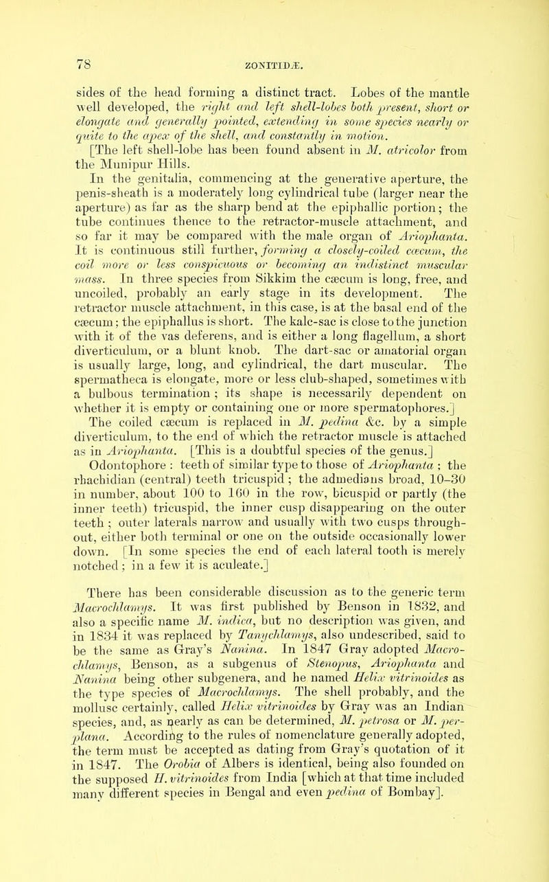 sides of the head forming a distinct tract. Lobes of the mantle well developed, the right and left shell-lobes both present, short or elongate and generally pointed, extending in some species nearly or quite to the apex of the shell, and constantly in motion. [The left shell-lobe has been found absent in M. atricolor from the Munipur Hills. In the genitalia, commencing at the generative aperture, the penis-sheath is a moderately long cylindrical tube (larger near the aperture) as far as the sharp bend at the epipballic portion; the tube continues thence to the retractor-muscle attachment, and so far it may be compared with the male organ of Ariophanta. It is continuous still further, forming a closely-coiled caecum, the coil more or less conspicuous or becoming an indistinct muscular mass. In three species from Sikkim the caecum is long, free, and uncoiled, probably an early stage in its development. The retractor muscle attachment, in this case, is at the basal end of the caecum; the epipballus is short. The kalc-sac is close to the junction with it of the vas deferens, and is either a long flagellum, a short diverticulum, or a blunt knob. The dart-sac or amatorial organ is usually large, long, and cylindrical, the dart muscular. The spermatheca is elongate, more or less club-shaped, sometimes with a bulbous termination; its shape is necessarily dependent on whether it is empty or containing one or more spermatophores.] The coiled csecum is replaced in M. peclina &c. by a simple diverticulum, to the end of which the retractor muscle is attached as in Ariophanta. [This is a doubtful species of the genus.] Odontophore : teeth of similar type to those of Ariophanta ; the rhachidian (central) teeth tricuspid ; the admedians broad, 10-30 in number, about 100 to 160 in the row, bicuspid or partly (the inner teeth) tricuspid, the inner cusp disappearing on the outer teeth ; outer laterals narrow and usually with two cusps through- out, either both terminal or one on the outside occasionally lower down. [In some species the end of each lateral tooth is merely notched ; in a few it is aculeate.] There has been considerable discussion as to the generic term Macrochlamys. It was first published by Benson in 1832, and also a specific name M. indica, but no description was given, and in 1834 it was replaced by Tanychlamys, also undescribed, said to be the same as Gray’s Banina. In 1847 Gray adopted Macro- chlamys, Benson, as a subgenus of Stenopus, Ariophanta and Banina being other subgenera, and he named Helix vitrinoides as the type species of Macrochlamys. The shell probably, and the mollusc certainly, called Helix vitrinoides by Gray was an Indian species, and, as pearly as can be determined, M. petrosa or M. per- plana. According to the rules of nomenclature generally adopted, the term must be accepted as dating from Gray’s quotation of it in 1847. The Orobia of Albers is identical, being also founded on the supposed H. vitrinoides from India [which at that time included many different species in Bengal and even peclina of Bombay],