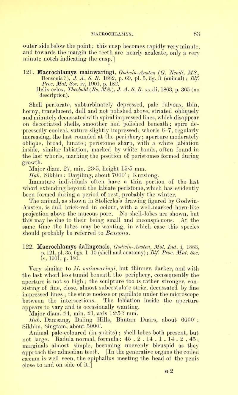 outer side below the point; this cusp becomes rapidly very minute, and towards the margin the teeth are nearly aculeate, only a very minute notch indicating the.cusp.] 121. Macrochlamys mainwaringi, Godwin-Austen (G. Nevill, MS., Bensonia ?), J. A. S. B. 1882, p. 69, pi. 5, tig. 3 (animal); Blf. Proc. Mai. Soc. iv, 1901, p. 182. Helix celox, Theobald (Bs. MS.), J. A. S. B. xxxii, 1863, p. 365 (no description). Shell perforate, subturbinately depressed, pale fulvous, thin, horny, translucent, dull and not polished above, striated obliquely and minutely decussated with spiral impressed lines, which disappear on decortiated shells, smoother and polished beneath ; spire de- pressedly conical, suture slightly impressed; whorls 6-7, regularly increasing, the last rounded at the periphery; aperture moderately oblique, broad, lunate; peristome sharp, with a white labiation inside, similar labiation, marked by white bands, often found in the last whorls, marking the position of peristomes formed during growth. Major diam. 27, min. 23*5, height 15-5 mm. Hah. Sikhim : Darjiling, about 7000'; Kursiong. Immature individuals often have a thin portion of the last whorl extending beyond the labiate peristome, which has evidently been formed during a period of rest, probably the winter. The animal, as shown in Stoliczka’s drawing figured by Godwin- Austen, is dull brick-red in colour, with a well-marked horn-like projection above the mucous pore. No shell-lobes are shown, but this may be due to their being small and inconspicuous. At the same time the lobes may be wanting, in which case this species should probably be referred to Bensonia. 122. Macrochlamys dalingensis, Godioin-Austen, Mol. Ind. i, 1883, p. 121, pi. 35, figs. 1-10 (shell and anatomy); Blf. Proc. Mai. Soc. iv, 1901, p. 180. Very similar to M. mainwaringi, but thinner, darker, and with the last whorl less tumid beneath the periphery, consequently the aperture is not so high; the sculpture too is rather stronger, con- sisting of fine, close, almost subcostulate striae, decussated by fine impressed lines ; the striae nodose or papillate under the microscope between the intersections. The labiation inside the aperture appears to vary and is occasionally wanting. Major diam. 24, min. 21, axis 12-5 ? mm. Hub. Damsang, Daling Hills, Bhutan Duars, about 6000' ; Sikhim, Singtam, about 5000'. Animal pale-coloured (in spirits) ; shell-lobes both present, but not large. Eadula normal, formula: 45.2.14.1 . 14.2.45; marginals almost simple, becoming unevenly bicuspid as they approach the admedian teeth. [In the generative organs the coiled csecum is well seen, the epiphallus meeting the head of the penis close to and on side of it.]