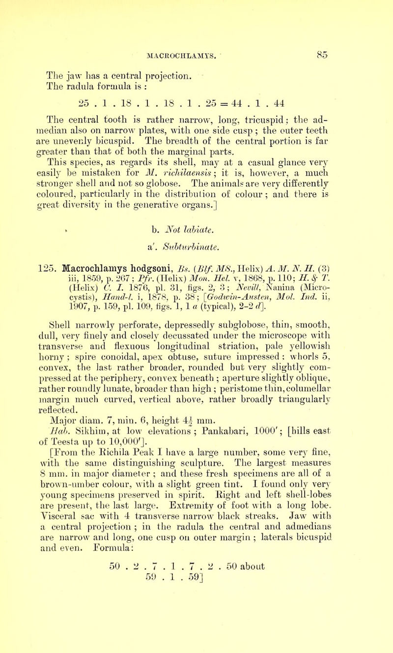 The jaw has a central projection. The radula formula is : 25 . 1 . 18 . 1 . 18 . 1 . 25 = 44 . 1 . 44 The central tooth is rather narrow, long, tricuspid; the ad- median also on narrow plates, with one side cusp ; the outer teeth are unevenly bicuspid. The breadth of the central portion is far greater than that of both the marginal parts. This species, as regards its shell, may at a casual glance very easily be mistaken for M. richilaensis; it is, however, a much stronger shell and not so globose. The animals are very differently coloured, particularly in the distribution of colour; and there is great diversity in the generative organs.] > b. Not labiate. a'. Snbturbinate. 125. Macrochlamys hodgsoni, Bs. (Blf. MS., Helix) A. M. N. H. (3) iii, 1859, p. 267; Pfr. (Helix) Mon. Bel v, 1868, p. 110; H. Sf T. (Helix) C. I. 1876, pi. 31, figs. 2, 3; Nevill, Nanina (Micro- cystis), Hand-l. i, 1878, p. 38; [Godwin-Austen, Mol. Ind. ii, 1907, p. 159, pi. 109, figs. 1,1 a (typical), 2-2 d\ Shell narrowly perforate, depressedly subglobose, thin, smooth, dull, very finely and closely decussated under the microscope with transverse and flexuous longitudinal striation, pale yellowish horny; spire conoidal, apex obtuse, suture impressed : whorls 5, convex, the last rather broader, rounded but very slightly com- pressed at the periphery, convex beneath ; aperture slightly oblique, rather roundly lunate, broader than high; peristome thin, columellar margin much curved, vertical above, rather broadly triangularly reflected. Major diam. 7, min. 6, height 4| mm. Hub. Sikhim, at low elevations; Pankabari, 1000'; [bills east of Teesta up to 10,000']. [Prom the Eichila Peak I have a large number, some very fine, with the same distinguishing sculpture. The largest measures 8 mm. in major diameter ; and these fresh specimens are all of a brown-umber colour, with a slight green tint. I found only very young specimens preserved in spirit. Eight and left shell-lobes are present, the last large. Extremity of foot with a long lobe. Visceral sac with 4 transverse narrow black streaks. Jaw with a central projection ; in the radula the central and admedians are narrow and long, one cusp on outer margin ; laterals bicuspid and even. Pormula: 50 . 2 . 7 . 1 . 7 . 2 . 50 about 59 . 1 . 59]
