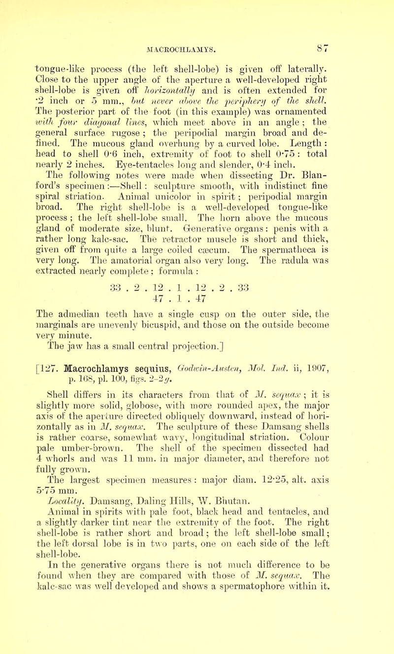 tongue-like process (the left shell-lobe) is given off laterally. Close to the upper angle of the aperture a well-developed right shell-lobe is given off horizontally and is often extended for '2 inch or 5 mm., but never above the periphery of the shell. The posterior part of the foot (in this example) was ornamented with four diagonal lines, which meet above in an angle; the general surface rugose; the peripodial margin broad and de- fined. The mucous gland overhung by a curved lobe. Length : head to shell 06 inch, extremity of foot to shell 075: total nearly 2 inches. Eye-tentacles long and slender, 04 inch. The following notes were made when dissecting Dr. Blan- ford’s specimen:—Shell: sculpture smooth, with indistinct fine spiral striation. Animal unicolor in spirit; peripodial margin broad. The right shell-lobe is a well-developed tongue-like process; the left shell-lobe small. The horn above the mucous gland of moderate size, blunt. Generative organs: penis with a rather long kalc-sac. The retractor muscle is short and thick, given off from quite a large coiled caecum. The spermatheca is very long. The amatorial organ also very long. The radula was extracted nearly complete; formula : 33 . 2 . 12 . 1 . 12 . 2 . 33 47 . 1 . 47 The admedian teeth have a single cusp on the outer side, the marginals are unevenly bicuspid, and those on the outside become very minute. The jaw has a small central projection.] [127. Macrochlamys sequins, Godwin-Austen, Mol. Ind. ii, 1907, p. 168, pi. 100, figs. 2-2 g. Shell differs in its characters from that of M. sequax; it is slightly more solid, globose, with more rounded apex, the major axis of the aperture directed obliquely downward, instead of hori- zontally as in M. sequax. The sculpture of these Damsang shells is rather coarse, somewhat wavy, longitudinal striation. Colour pale umber-brown. The shell of the specimen dissected had 4 whorls and was 11 mm. in major diameter, and therefore not fully grown. The largest specimen measures : major diam. 12-25, alt. axis 5-75 mm. Locality. Damsang, Daling Hills, VV. Bhutan. Animal in spirits with pale foot, black head and tentacles, and a slightly darker tint near the extremity of the foot. The right shell-lobe is rather short and broad; the left shell-lobe small; the left dorsal lobe is in two parts, one on each side of the left shell-lobe. In the generative organs there is not much difference to be found when they are compared with those of M. sequax. The kalc-sac was well developed and shows a spermatophore within it.
