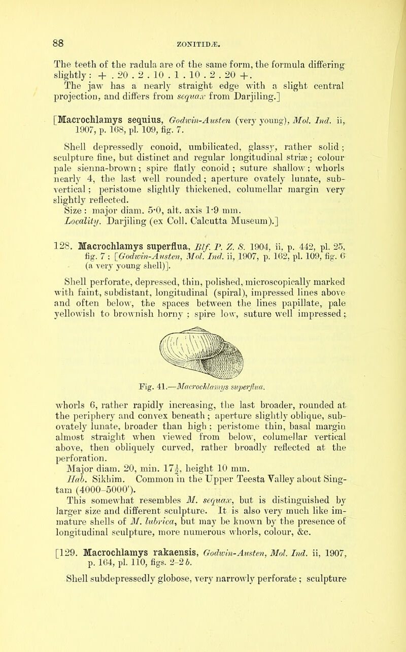 The teeth of the radula are of the same form, the formula differing slightly: + . 20.2.10 . 1 . 10.2.20 +. The jaw has a nearly straight edge with a slight centi’al projection, and differs from s'equa.v from Darjiling.] [Macrochlamys sequius, Godwm-Austen (very young), Mol, Ind. ii,. 1907, p. 168, pi. 109, fig. 7. Shell depressedly conoid, umbilicated, glassy, rather solid; sculpture fine, but distinct and regular longitudinal striae; colour pale sienna-brown; spire flatly conoid ; suture shallorv; whorls nearly 4, the last well rounded; aperture ovately lunate, sub- vertical ; peristome slightly thickened, columellar margin very slightly reflected. Size : major diam. 5-0, alt. axis 1-9 mm. Locality. Darjiling (ex Coll. Calcutta Museum).] 128. Macrochlamys superflua, Blf. T. Z. S. 1904, ii, p. 442, pi. 25, fig. 7 ; [Godwin-Austen, Mol. Ind, ii, 1907, p. 162, pi. 109, fig. 6: (a very young shell)].. ' Shell perforate, depressed, thin, polished, microscopically marked with faint, subdistant, longitudinal (spiral), impressed lines above and often below, the spaces between the lines papillate, pale yellowish to brownish horny ; spire low, suture well impressed Fig. 41.—Macrochlamys sivperfl.ua. whorls 6, rather rapidly increasing, the last broader, rounded at the periphery and convex beneath ; aperture slightly oblique, sub- ovately lunate, broader than high; peristome thin, basal margin almost straight when viewed from below, columellar vertical above, then obliquely curved, rather broadly reflected at the perforation. Major diam. 20, min. 17|, height 10 mm. Hah. Sikhim. Common in the Upper Teesta Yalley about Sing- tarn (4000-5000'). This somewhat resembles M. sequax, but is distinguished by larger size and different sculpture. It is also very much like im- mature shells of M. lubrica, but may be known by the presence of longitudinal sculpture, more numerous whorls, colour, &c. [129. Macrochlamys rakaensis, Godwin-Austen, Mol. Ind. ii, 1907, p. 164, pi. 110, figs. 2-2 b. Shell subdepressedly globose, very narrowly perforate; sculpture