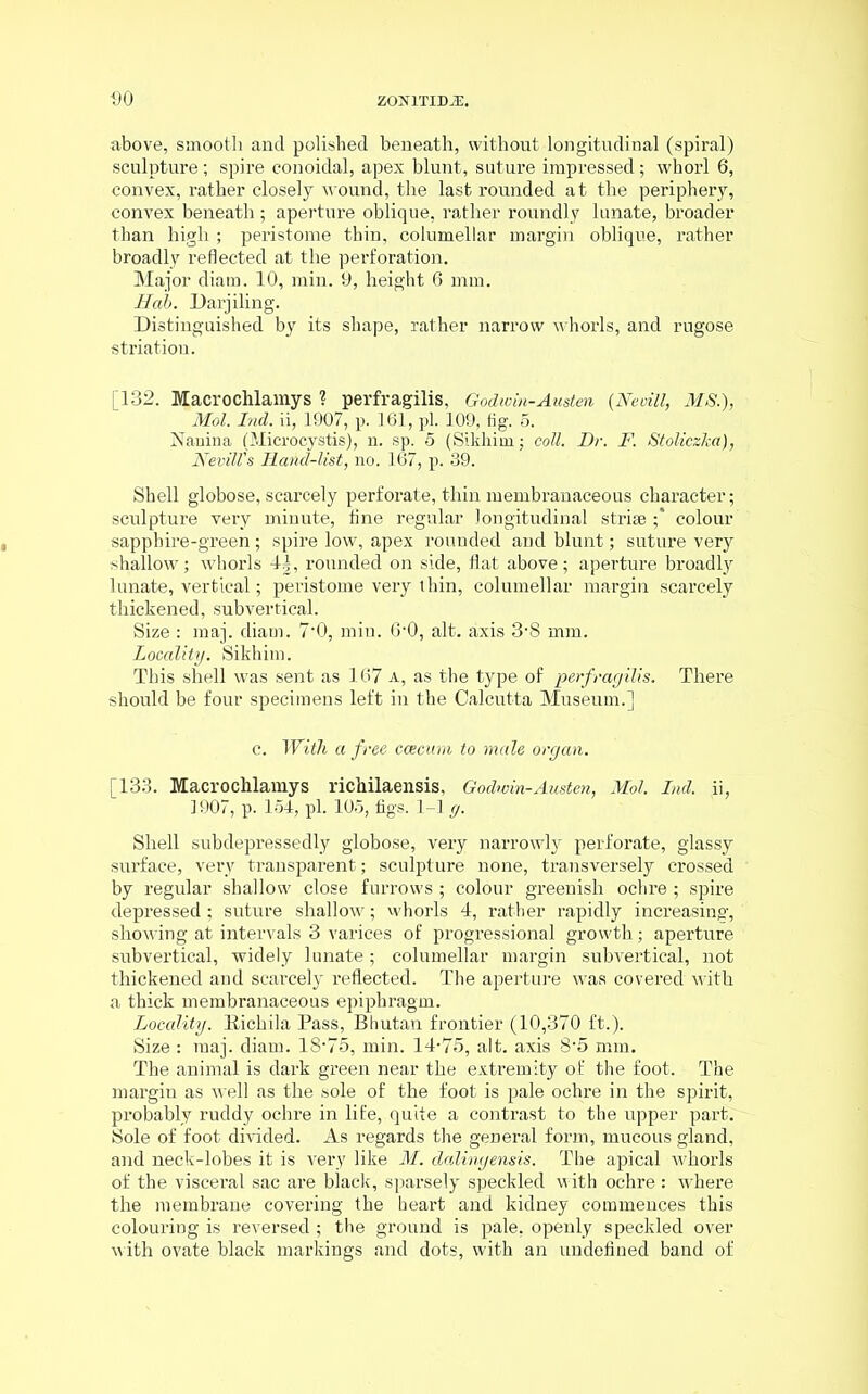 above, smooth and polished beneath, without longitudinal (spiral) sculpture; spire conoidal, apex blunt, suture impressed; whorl 6, convex, rather closely wound, the last rounded at the periphery, convex beneath ; aperture oblique, rather roundly lunate, broader than high ; peristome thin, columellar margin oblique, rather broadly reflected at the perforation. Major diatn. 10, min. 9, height 6 mm. Hah. Darjiling. Distinguished by its shape, rather narrow whorls, and rugose striatiou. [132. Macrochlamys ? perfragilis, Godwin-Austen (Neoill, MS.), Mol. Ind. ii, 1907, p. 161, pi. 109, tig. 5. Nanina (Microcystis), n. sp. 5 (Sikhim; coll. Dr. F. Stoliczlca), Nevill's Rand-list, no. 167, p. 39. Shell globose, scarcely perforate, thin membranaceous character; sculpture very minute, fine regular longitudinal striae ;* colour sapphire-green ; spire low, apex rounded and blunt; suture very shallow; whorls 4|, rounded on side, flat above; aperture broadly lunate, vertical; peristome very thin, columellar margin scarcely thickened, subvertical. Size : maj. diam. 7‘0, min. 6-0, alt. axis 3-8 mm. Locality. Sikhim. This shell was sent as 167 a, as the type of perfragilis. There should be four specimens left in the Calcutta Museum.] c. With a free ccecwn to male organ. [133. Macrochlamys richilaensis, Godwin-Austen, Mol. Ind. ii, 1907, p. 154, pi. 105, figs. 1-1 cj. Shell subdepressedly globose, very narrowly perforate, glassy surface, very transparent; sculpture none, transversely crossed by regular shallow close furrows ; colour greenish ochre ; spire depressed ; suture shallow; whorls 4, rather rapidly increasing, showing at intervals 3 varices of progressional growth; aperture subvertical, widely lunate ; columellar margin subvertical, not thickened and scarcely x-eflected. The aperture was covered with a thick membranaceous epiphragm. Locality. Eichila Pass, Bhutan frontier (10,370 ft.). Size : maj. diam. 18-75, min. 14-75, alt. axis 8-5 mm. The animal is dai'k green near the extremity of the foot. The margin as well as the sole of the foot is pale ochre in the spirit, probably ruddy ochre in life, quite a contrast to the upper part. Sole of foot divided. As regards the general form, mucous gland, and neck-lobes it is very like M. dalingensis. The apical whorls of the viscei-al sac are black, sparsely speckled with ochre : where the membi-ane covering the heai-t and kidney commences this coloui-ing is reversed ; the ground is pale, openly speckled over with ovate black markings and dots, with an undefined band of