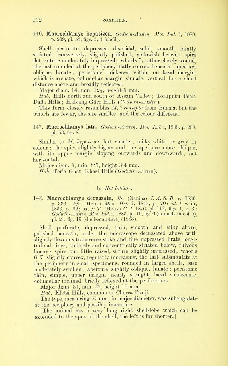 146. Macroclilamys hepatizon, Godivin-Austen, Mol. Ind. i, 1888, p. 209, pi. 53, figs. 3, 4 (shell). Shell perforate, depressed, diseoidal, solid, smooth, faintly striated transversely, slightly polished, yellowish brown; spire flat, suture moderately impressed; whorls 5, rather closely wound, the last rounded at the periphery, flatly convex beneath; aperture oblique, lunate; peristome thickened within on basal margin, which is arcuate, columellar margin sinuate, vertical for a short distance above and broadly reflected. Major diam. 14, min. 12|, height 5 mm. Hah. Hills north and south of Assam Yalley; Toruputu Peak, Dafla Hills ; Habiang Garo Hills {Godivin-Austen). This form closely resembles M. ? consepta from Burma, but the whorls are fewer, the size smaller, and the colour different. 147. Macrochlamys lata, Godivin-Austen, Mol. Ind. i, 1888, p. 209, pi. 53, fig. 8. Similar to M. hepatizon, but smaller, milky-white or grey in colour; the spire slightly higher and the aperture more oblique, with its upper margin sloping outwards and downwards, not horizontal. Major diam. 9, min. 8-5, height 3‘4 mm. Hah. Teria Ghat, Khasi Hills {Godwin-Austen). b. Not labiate. 148. Macrochlamys decussata, Bs. (Nanina) J. A. S. B. v, 1836, p. 330; Pfr. (Helix) Mon. Hel. i, 1847, p. 70; id. t. c. iii, 1853, p. 62; H. Sr T. (Helix) C. I. 1876, pi. 112, figs. 1, 2, 3 ; Godwin-Austen, Mol. Ind. i, 1883, pi. 19, fig. 6 (animals in coitu), pi. 21, fig. 15 (shell-sculpture) (1883). Shell perforate, depressed, thin, smooth and silky above, polished beneath, under the microscope decussated above with slightly flexuous transverse strife and fine impressed lirate longi- tudinal lines, radiately and concentrically striated below, fulvous horny ; spire but little raised, suture slightly impressed; whorls 6-7, slightly convex, regularly increasing, the last subangulate at the periphery in small specimens, rounded in larger shells, base moderately swollen ; aperture slightly oblique, lunate; peristome thin, simple, upper margin nearly straight, basal subarcuate, columellar inclined, briefly reflexed at the perforation. Major diam. 31, min. 27, height 13 mm. Hah. Khasi Hills, common at Cherra Punji. The type, measuring 25 mm. in major diameter, was subangulate at the periphery and possibly immature. [The animal has a very long right shell-lobe which can be extended to the apex of the shell, the left is far shorter.]