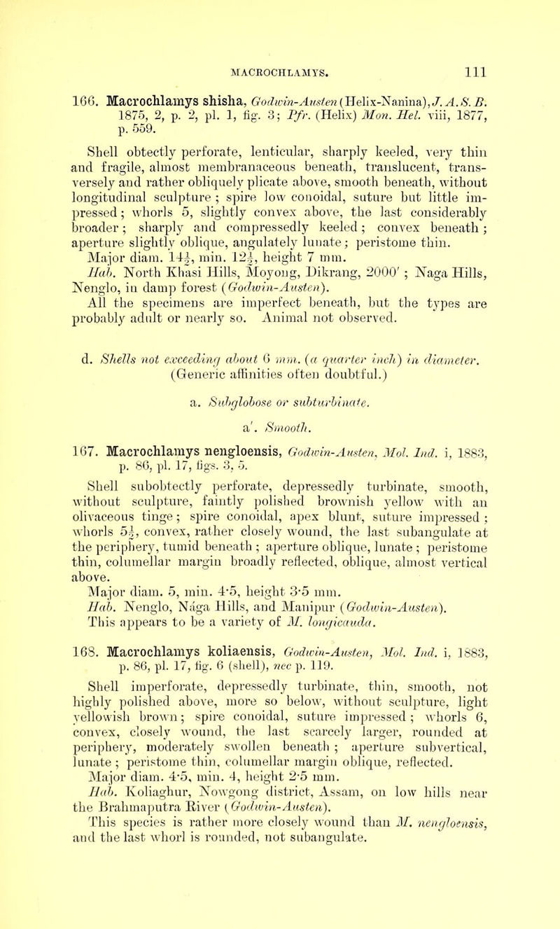 166. Macrochlamys shislia, Godwin-Aiisten{HeYix-Namnd), J.A.S.B. 1875, 2, p. 2, pi. 1, fig. 3; Pfr. (Helix) Mon. Mel. viii, 1877, p. 559. Shell obtectly perforate, lenticular, sharply keeled, very thin and fragile, almost membranaceous beneath, translucent, trans- versely and rather obliquely plicate above, smooth beneath, without longitudinal sculpture ; spire low conoidal, suture but little im- pressed ; whorls 5, slightly convex above, the last considerably broader; sharply and compressedly keeled; convex beneath; aperture slightly oblique, angulately luuate; peristome thin. Major diam. 14|, min. 12|, height 7 mm. Hal. North Khasi Hills, Moyong, Dikrang, 2000' ; Naga Hills, Nenglo, in damp forest {Godwin-Austen). All the specimens are imperfect beneath, but the types are probably adult or nearly so. Animal not observed. d. Shells not exceeding about 6 mm. (a quarter inch) in diameter. (Generic affinities often doubtful.) a. Subglobose or subturbinate. a'. Smooth. 167. Macrochlamys nengloensis, Godiuin-Austen, Mol. Ind. i, 1883, p. 86, pi. 17, figs. 3, 5. Shell subobtectly perforate, depressedly turbinate, smooth, without sculpture, faintly polished brownish yellow with an olivaceous tinge; spire conoidal, apex blunt, suture impressed ; whorls 5|, convex, rather closely wound, the last subangulate at the periphery, tumid beneath ; aperture oblique, lunate ; peristome thin, columellar margin broadly reflected, oblique, almost vertical above. Major diam. 5, min. 4'5, height 3-5 mm. Hab. Nenglo, Naga Hills, and Manipur (Godiuin-Austen). This appears to be a variety of M. longicauda. 168. Macrochlamys koliaensis, Godivin-Austen, Mol. Ind. i, 1883, p. 86, pi. 17, fig. 6 (shell), nec p. 119. Shell imperforate, depressedly turbinate, thin, smooth, not highly polished above, more so below, without sculpture, light yellowish brown; spire conoidal, suture impressed; whorls 6, convex, closely wound, the last scarcely larger, rounded at periphery, moderately swollen beneath ; aperture subvertical, lunate ; peristome thin, columellar margin oblique, reflected. Major diam. 4-5, min. 4, height 2-5 mm. Hab. Koliaghur, Nowgong district, Assam, on low hills near the Brahmaputra River (Godiuin-Austen). This species is rather more closely wound than M. nengloensis, and the last whorl is rounded, not subangulate.