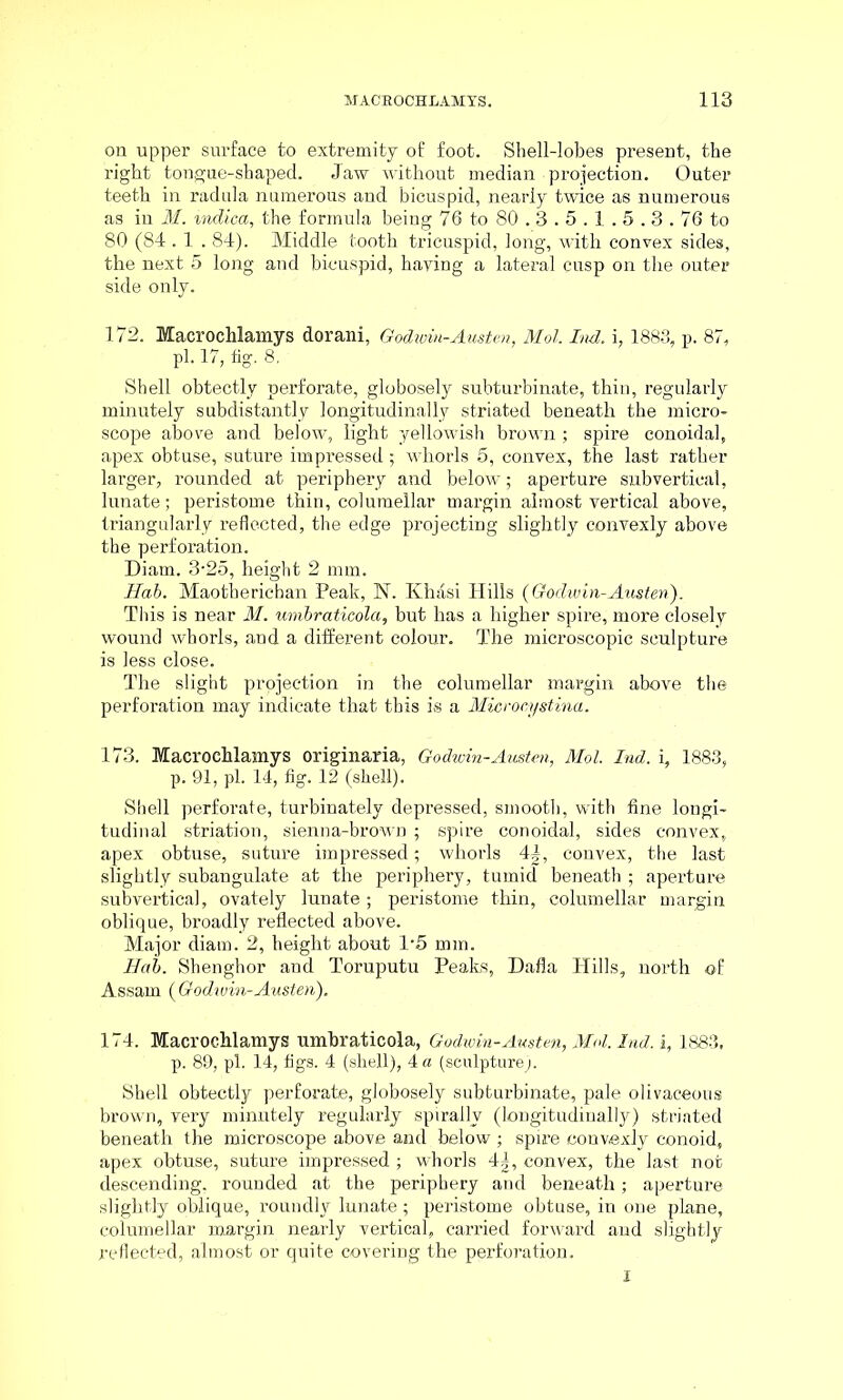 on upper surface to extremity of foot. Shell-lobes present, the right tongue-shaped. Jaw without median projection. Outer teeth in radula numerous and bicuspid, nearly twice as numerous as in M. indica, the formula being 76 to 80.3.5.1.5.3.76 to 80 (84.1.84). Middle tooth tricuspid, long, with convex sides, the next 5 long and bicuspid, haying a lateral cusp on the outer side only. 172. Macrochlamys dorani, Godivin-Austen, Mol. Ind. i, 1883, p. 87, pi. 17, fig. 8, Shell obtectly perforate, globosely subturbinate, thin, regularly minutely subdistantly longitudinally striated beneath the micro- scope above and below, light yellowish brown ; spire conoidal, apex obtuse, suture impressed; whorls 5, convex, the last rather larger, rounded at periphery and below; aperture subvertical, lunate; peristome thin, coluraellar margin almost vertical above, triangularly reflected, the edge projecting slightly convexly above the perforation. Diam. 3-25, height 2 mm. Hab. Maotherichan Peak, N. Khasi Hills (Godwin-Austen). This is near M. umbraticola, hut has a higher spire, more closely wound whorls, and a different colour. The microscopic sculpture is less close. The slight projection in the columellar margin above the perforation may indicate that this is a Microcystina. 173. Macrochlamys originaria, Godwin-Awsten, Mol. Ind. i, 1883, p. 91, pi. 14, fig. 12 (shell). Shell perforate, turbinately depressed, smooth, with fine longi- tudinal striation, sienna-brown ; spire conoidal, sides convex, apex obtuse, suture impressed; whorls 4|, convex, the last slightly subangulate at the periphery, tumid beneath ; aperture subvertical, ovately lunate; peristome thin, columellar margin oblique, broadly reflected above. Major diam. 2, height about 1-5 mm. Hab. Shenghor and Toruputu Peaks, Dafla Hills, north of Assam (Godwin-Austen). 174. Macrochlamys umbraticola, Godwin-Austen, Mol. Ind. i, 1883, p. 89, pi. 14, figs. 4 (shell), 4 a (sculpture). Shell obtectly perforate, globosely subturbinate, pale olivaceous brown, very minutely regularly spirally (longitudinally) striated beneath the microscope above and below ; spire convexly conoid, apex obtuse, suture impressed ; whorls 4g, convex, the last not descending, rounded at the periphery and beneath; aperture slightly oblique, roundly lunate ; peristome obtuse, in one plane, columellar margin nearly vertical, carried forward and slightly- reflected, almost or quite covering the perforation.