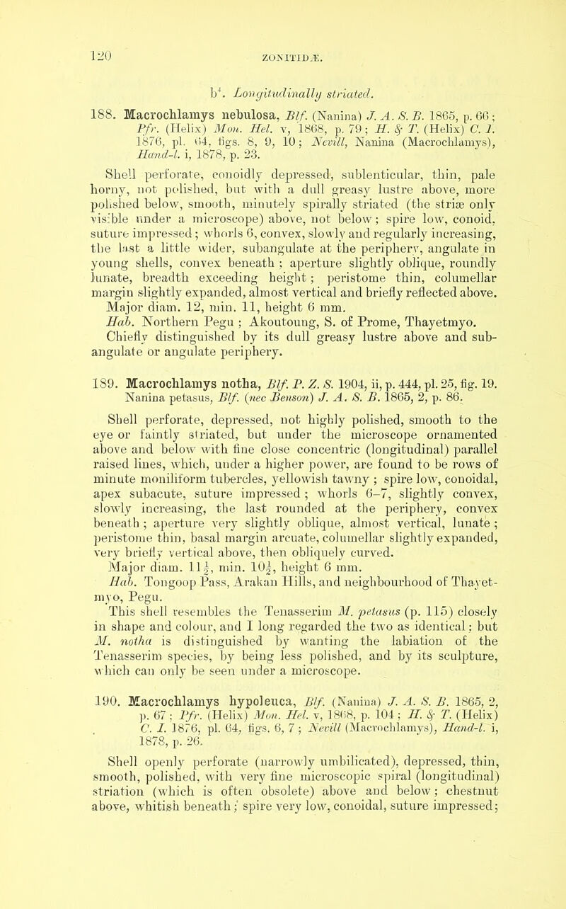 bh Longitudinally striated. 188. Macrochlamys nebulosa, JBlf. Banina) J. A. S. B. 1865, p. 66; Pfr. (Helix) Mon. Hel. v, 1868, p. 79; II. $• T. (Helix) C. I. 1876, pi. 64, tigs. 8, 9, 10; Nevill, Nanina (Macrochlamys), Mand-l. i, 1878, p. 23. Shell perforate, eonoidly depressed, sublenticular, thin, pale horny, not polished, but with a dull greasy lustre above, moi’e polished below, smooth, minutely spirally striated (the striae only visible under a microscope) above, not below; spire low, conoid, suture impressed; whorls 6, convex, slowly and regularly increasing, the last a little wider, subangulate at the periphery, angulate in young shells, convex beneath ; aperture slightly oblique, roundly lunate, breadth exceeding height; peristome thin, columellar margin slightly expanded, almost vertical and briefly reflected above. Major diam. 12, min. 11, height 6 mm. Hal. Northern Pegu ; Akoutoung, S. of Prome, Thayetmyo. Chiefly distinguished by its dull greasy lustre above and sub- angulate or angulate periphery. 189. Macrochlamys notha, Blf. P. Z. S. 1904, ii, p. 444, pi. 25, fig. 19. Nanina petasus, Blf. (nec Benson) J. A. S. B. 1865, 2, p. 86. Shell perforate, depressed, not highly polished, smooth to the eye or faintly striated, but under the microscope ornamented above and below with fine close concentric (longitudinal) parallel raised lines, which, under a higher power, are found to be rows of minute moniliform tubercles, yellowish tawny ; spire low, conoidal, apex subacute, suture impressed ; whorls 6-7, slightly convex, slowly increasing, the last rounded at the periphery, convex beneath ; aperture very slightly oblique, almost vertical, lunate; peristome thin, basal margin arcuate, columellar slightly expanded, very briefly vertical above, then obliquely curved. Major diam. 111, min. 10^, height 6 mm. Bab. Tongoop Pass, Arakan Hills, and neighbourhood of Thayet- myo, Pegu. This shell resembles the Tenasserim M. petasus (p. 115) closely in shape and colour, and I long regarded the two as identical; but M. notha is distinguished by wanting the labiation of the Tenasserim species, by being less polished, and by its sculpture, which can only be seen under a microscope. 190. Macrochlamys hypoleuca, Blf. (Nanina) J. A. S. B. 1865, 2, p. 67; Pfr. (Helix) Mon. Hel. v, 1868, p. 104; H. fy T. (Helix) C. I. 1876, pi. 64, tigs. 6, 7 ; Nevill (Macrochlamys), Hand-l. i, 1878, p. 26. Shell openly perforate (narrowly umbilicated), depressed, thin, smooth, polished, with very fine microscopic spiral (longitudinal) striation (which is often obsolete) above and below; chestnut above, whitish beneath; spire very low,conoidal, suture impressed;