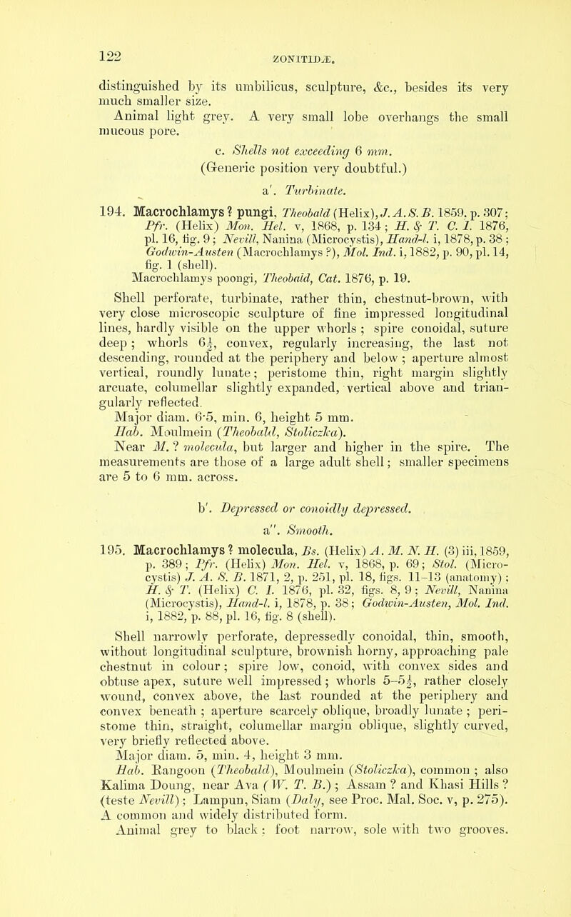 distinguished by its umbilicus, sculpture, &c., besides its very much smaller size. Animal light grey. A very small lobe overhangs the small mucous pore. c. Shells not exceeding 6 mm. (Generic position very doubtful.) a'. Turbinate. 194. Macrochlamys ? pungi, Theobald (Helix), J. A. S. B. 1859. p. 307; Pfr. (Helix) Mon. Hel. v, 1868, p. 134 ; H. T. C. 1. 1876, pi. 16, tig. 9; Nevill, Nanina (Microcystis), Hand-l. i, 1878, p. 38; Godwin-Austen (Macrochlamys ?), Mol. Ind. i, 1882, p. 90, pi. 14, fig. 1 (shell). Macrochlamys poongi, Theobald, Cat. 1876, p. 19. Shell perforate, turbinate, rather thin, chestnut-brown, with very close microscopic sculpture of tine impressed longitudinal lines, hardly visible on the upper whorls ; spire conoidal, suture deep; whorls 6|, convex, regularly increasing, the last not descending, rounded at the periphery and below ; aperture almost vertical, roundly lunate; peristome thin, right margin slightly arcuate, columellar slightly expanded, vertical above and trian- gularly reflected. Major diam. 6’5, min. 6, height 5 mm. Bab. Moulmein (Theobald, Stoliczka). Near M. ? molecula, but larger and higher in the spire. The measurements are those of a large adult shell; smaller specimens are 5 to 6 mm. across. b'. Depressed or conoidly depressed. a. Smooth. 195. Macrochlamys ? molecula, Bs. (Helix) A. M. N. H. (3) iii, 1859, p. 389 ; Pfr. (Helix) Mon. Hel. v, 1868, p. 69; Stol. (Micro- cystis) J. A. S. B. 1871, 2, p. 251, pi. 18, tigs. 11-13 (anatomy); J£. Sf T. (Helix) C. I. 1876, pi. 32, figs. 8, 9 ; Nevill, Nanina (Microcystis), Hand-l. i, 1878, p. 38; Godicin-Austen, Mol. Ind. i, 1882, p. 88, pi. 16, tig. 8 (shell). Shell narrowly perforate, depressedly conoidal, thin, smooth, without longitudinal sculpture, brownish horny, approaching pale chestnut in colour; spire low, conoid, with convex sides and obtuse apex, suture well impressed; whorls 5-5|, rather closely wound, convex above, the last rounded at the periphery and convex beneath ; aperture scarcely oblique, broadly lunate ; peri- stome thin, straight, columellar margin oblique, slightly curved, very briefly reflected above. Major diam. 5, min. 4, height 3 mm. Bab. Rangoon {Theobald), Moulmein (Stoliczlca), common ; also Kalima Doung, near Ava ( W. T. B.) ; Assam ? and Khasi Hills ? (teste Nevill) -, Lampun, Siam {Daly, see Proc. Mai. Soc. v, p. 275). A common and widely distributed form. Animal grey to black; foot narrow, sole with two grooves.