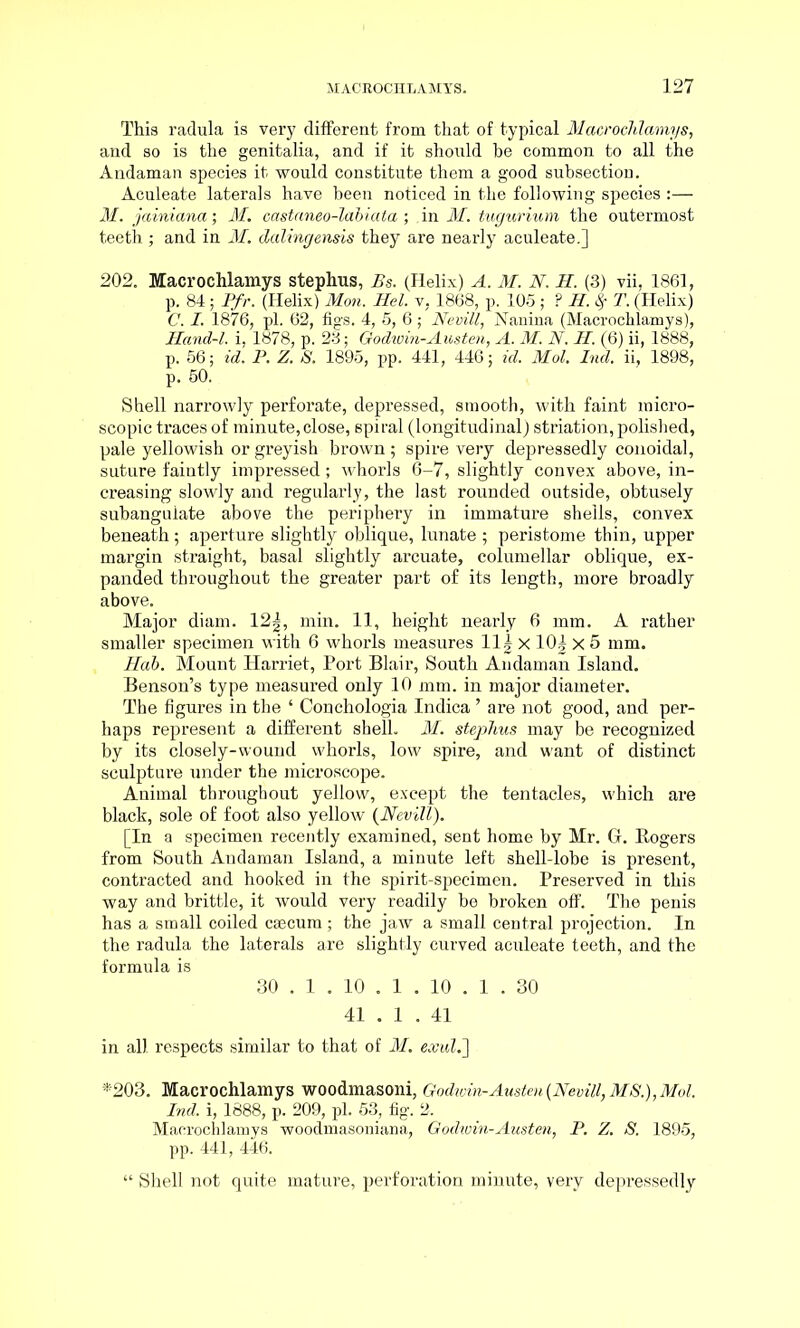 This radula is very different from that of typical Macrochlaviys, and so is the genitalia, and if it should be common to all the Andaman species it would constitute them a good subsection. Aculeate laterals have been noticed in the following species :— M. jainiana; M. castaneo-labiata ; in M. tugurium the outermost teeth; and in M. dalingensis they are nearly aculeate.] 202. Macrochlamys stephus, Bs. (Helix) A. M. N. H. (3) vii, 1861, p. 84 j Pfr. (Helix) Mon. Hel. v, 1868, p. 105 ; ? H. 8f T. (Helix) C. I. 1876, pi. 62, figs. 4, 5, 6 ; Nevill, Nanina (Macrochlamys), Hand-l. i, 1878, p. 23; Godwin-Austen, A. M. N. H. (6) ii, 1888, p. 56; id. P. Z. S. 1895, pp. 441, 446; id. Mol. Ind. ii, 1898, p. 50. Shell narrowly perforate, depressed, smooth, with faint micro- scopic traces of minute,close, spiral (longitudinal) striation, polished, pale yellowish or greyish brown ; spire very depressedly conoidal, suture faintly impressed; whorls 6-7, slightly convex above, in- creasing slowly and regularly, the last rounded outside, obtusely subanguiate above the periphery in immature shells, convex beneath; aperture slightly oblique, lunate ; peristome thin, upper margin straight, basal slightly arcuate, columellar oblique, ex- panded throughout the greater part of its length, more broadly above. Major diam. 12|, min. 11, height nearly 6 mm. A rather smaller specimen with 6 whorls measures 11| x 10| X 5 mm. Hob. Mount Harriet, Port Blair, South Andaman Island. Benson’s type measured only 10 mm. in major diameter. The figures in the ‘ Conchologia Indica ’ are not good, and per- haps represent a different shell. M. stephus may be recognized by its closely-wound whorls, low spire, and want of distinct sculpture under the microscope. Animal throughout yellow, except the tentacles, which are black, sole of foot also yellow (Nevill). [In a specimen recently examined, sent home by Mr. G. Rogers from South Andaman Island, a minute left shell-lobe is present, contracted and hooked in the spirit-specimen. Preserved in this way and brittle, it would very readily be broken off. The penis has a small coiled caecum; the jaw a small central projection. In the radula the laterals are slightly curved aculeate teeth, and the formula is 30 . 1 . 10 . 1 . 10 . 1 . 30 41 . 1 . 41 in all respects similar to that of M. exul.] *203. Macrochlamys woodmasoni, Godwin-Austen (Nevill, MS.), Mol. Ind. i, 1888, p. 209, pi. 53, fig. 2. Macrochlamys woodmasoniana, Godivin-Austen, P. Z. S. 1895, pp. 441, 446. “ Shell not quite mature, perforation minute, very depressedly