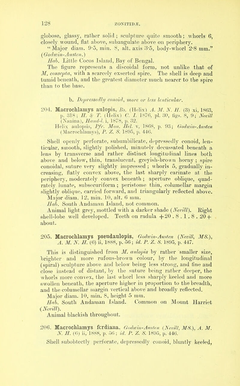 globose, glassy, rather solid ; sculpture quite smooth; whorls 6, closely wound, flat above, subangulate above on periphery. “ Major diam. 9-5, min. 8, alt. axis 3-5, body-whorl 2-8 mm.” ( Godwin-Austen.) Hob. Little Cocos Island, Bay of Bengal. The figure represents a discoidal form, not unlike that of M. consepta, with a scarcely exserted spire. The shell is deep and tumid beneath, and the greatest diameter much nearer to the spire than to the base. b. Depressedly conoid, more or less lenticular. 204. Macroclilamys aulopis, Bs. (Helix) A. M. N. H. (3) xi, 1863, p. 318; H. & T. (Helix) C. I. 1876, pi. 30, figs. 8, 9; Necill (Nanina), Hand-l. i, 1878, p. 32. Helix aulopsis, Pfr. Mon. Hel. v, 1868, p. 93; Godwin-Austen (Macrochlamys), P. Z. S. 1895, p. 446. Shell openly perforate, subumbilicate, depressedly conoid, len- ticular, smooth, slightly polished, minutely decussated beneath a lens by transverse and rather distinct longitudinal lines both above and below, thin, translucent, greyish-brown horny ; spire conoidal, suture very slightly impressed ; whorls 5, gradually in- creasing, flatly convex above, the last sharply carinate at the periphery, moderately convex beneath; aperture oblique, quad- rately lunate, subsecuriform; peristome thin, columellar margin slightly oblique, carried forward, aud triangularly reflected above. Major diam. 12, min. 10, alt. 6 mm. Hah. South Andaman Island, not common. Animal light grey, mottled with a darker shade (Nevill). Right shell-lobe well developed. Teeth on radula +20.8.1.8.20 + about. 205. Macrochlamys pseudaulopis, Godwin-Austen (Nevill, MS.), A. M. N. H. (6) ii, 1888, p. 56; id. P. Z. S. 1895, p. 447. This is distinguished from M. aulopis by rather smaller size, brighter and more rufous-brown colour, by the longitudinal (spiral) sculpture above and below being less strong, and fine and close instead of distant, by the suture being rather deeper, the whorls more convex, the last whorl less sharply keeled and more swollen beneath, the aperture higher in proportion to the breadth, and the columellar margin vertical above’ and broadly reflected. Major diam. 10, min. 8, height 5 mm. Hub. South Andaman Island. Common on Mount Harriet {Nevill). Animal blackish throughout. 206. Macrochlamys fcrdiana, Godwin-Austen {Nevill, MS.), A. M. N. H. (6) ii, 1888, p. 56; id. P. Z. S. 1895, p. 446. Shell subobtectly perforate, depressedly conoid, bluntly keeled,