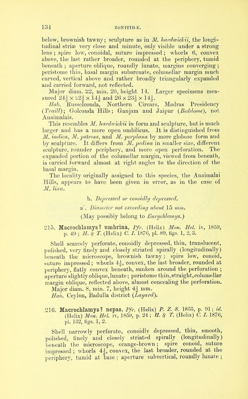 below, brownish tawny; sculpture as in. M. hardwiclcii, the longi- tudinal striae very close and minute, only visible under a strong lens ; spire low, conoidal, suture impressed; whorls 6, convex above, the last rather broader, rounded at the periphery, tumid beneath ; aperture oblique, roundly lunate, margins converging; peristome thin, basal margin subarcuate, columellar margin much curved, vertical above and rather broadly triangularly expanded and carried forward, not reflected. Major diam. 22, min. 20, height 14. Larger specimens mea- sured 24| x 22| x 14| and 26 x 23g x 14|. Bab. husselconda, Northern Gircars, Madras Presidency {Traill)-, Golconda Hills; Ganjam and Jaipur (Beddome), not Anaimalais. This resembles M. hardwiclcii in form and sculpture, but is much larger and has a more open umbilicus. It is distinguished from M. indica, M. petrosa, and M. perplana by more globose form and by sculpture. It differs from M. pedina in smaller size, different sculpture, rounder periphery, and more open perforation. The expanded portion of the columellar margin, viewed from beneath, is carried forward almost at right angles to the direction of the basal margin. The locality originally assigned to this species, the Anaimalai Hills, appears to have been given in error, as in the case of M. lixa. b. Depressed or conoidly depressed. a'. Diameter not exceeding about 15 mm. (May possibly belong to Eurychlamys.) 215. Macrochlamys ? umbrina, Pfv. (Helix) Mon. Bel. iv, 1859, p. 49 ; B. $ T. (Helix) C. 1. 1876, pi. 89, figs. 1, 2,3. Shell scarcely perforate, conoidly depressed, thin, translucent, polished, very finely and closely striated spirally (longitudinally) beneath the microscope, brownish tawny; spire low, conoid, suture impressed; whorls 4|, convex, the last broader, rounded at periphery, flatly convex beneath, sunken around the perforation ; aperture slightly oblique, lunate; peristome thin, straight, columellar margin oblique, reflected above, almost concealing the perforation. Major diam. 8, min. 7, height 4| mm. Hub. Ceylon, Badulla district (Layard). 216. Macrochlamys ? nepas, Pfr. (Helix) P. Z. S. 1855, p. 91; id. (Helix) Mon. Bel. iv, 1859, p. 24 ; H. 8f T. (Helix) C. I. 1876, pi. 132, figs. 1, 2. Shell narrowly perforate, conoidly depressed, thin, smooth, polished, finely and closely striated spirally (longitudinally) beneath the microscope, orange-brown; spire conoid, suture impressed ; whorls 4|, convex, the last broader, rounded at the periphery, tumid at base ; aperture subvertical, roundly lunate ;