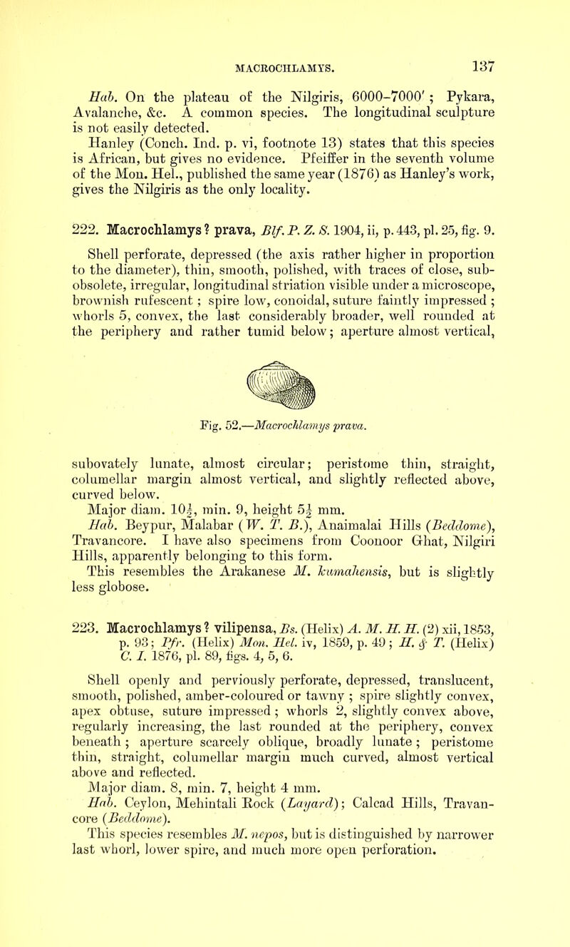 Hab. On the plateau of the Nilgiris, 6000-7000' ; Pykara, Avalanche, &c. A common species. The longitudinal sculpture is not easily detected. Hanley (Conch. Ind. p. vi, footnote 13) states that this species is African, but gives no evidence. Pfeiffer in the seventh volume of the Mon. Hel., published the same year (1876) as Hanley’s work, gives the Nilgiris as the only locality. 222. Macrochlamys ? prava, Blf. P. Z. S. 1904, ii, p. 443, pi. 25, fig. 9. Shell perforate, depressed (the axis rather higher in proportion to the diameter), thin, smooth, polished, with traces of close, sub- obsolete, irregular, longitudinal striation visible under a microscope, brownish rufescent; spire low, conoidal, suture faintly impressed ; whorls 5, convex, the last considerably broader, well rounded at the periphery and rather tumid below; aperture almost vertical, Pig. 52.—Macrochlamys prava. subovately lunate, almost circular; peristome thin, straight, columellar margin almost vertical, and slightly reflected above, curved below. Major diam. 10J, min. 9, height 5| mm. Hab. Beypur, Malabar (W. T. B.), Anaimalai Hills (Beclclome), Travancore. I have also specimens from Coonoor Ghat, Nilgiri Hills, apparently belonging to this form. This resembles the Arakanese M. Icumahensis, but is slightly less globose. 223. Macrochlamys ? vilipensa, Bs. (Helix) A. M. H. H. (2) xii, 1853, p. 93; Pfr. (Helix) Mon. Hel. iv, 1859, p. 49; II. # T. (Helix) C. I. 1876, pi. 89, figs. 4, 5, 6. Shell openly and perviously perforate, depressed, translucent, smooth, polished, amber-coloured or tawny ; spire slightly convex, apex obtuse, suture impressed; whorls 2, slightly convex above, regularly increasing, the last rounded at the periphery, convex beneath; aperture scarcely oblique, broadly lunate; peristome thin, straight, columellar margin much curved, almost vertical above and reflected. Major diam. 8, min. 7, height 4 mm. Hab. Ceylon, Mehintali Eock (Layard); Calcad Hills, Travan- core (Bedclome). This species resembles M. nepos, but is distinguished by narrower last whorl, lower spire, and much more open perforation.