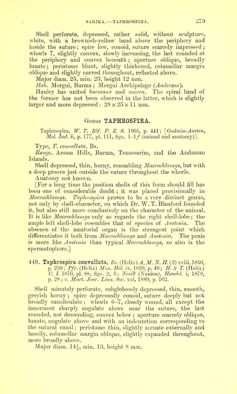 SABIKA.—TAPHKOSPXBA. Shell perforate, depressed, rather solid, without sculpture, white, with a brownish-yellow band above the periphery and inside the suture; spire low, conoid, suture scarcely impressed ; whorls 7, slightly convex, slowly increasing, the last rounded at the periphery and convex beneath; aperture oblique, broadly lunate; peristome blunt, slightly thickened, columellar margin oblique and slightly curved throughout, reflected above. Major diam. 25, min. 23, height 12 mm. Hal. Mergui, Burma ; Mergui Archipelago (Anderson). Hanley has united burmana and acerra. The spiral band of the former has not been observed in the latter, which is slightly larger and more depressed: 28 x 25 x 11 mm. Genus TAPHROSPIRA. Taphrospira, W. T. Blf. P. Z. S. 1905, p. 441: [Godwin-Austen, Mol. Ind. ii, p. 177, pi. Ill, figs. 1-1/ (animal and anatomy)]. Type, T. convallata, Bs. Range. Assam Hills, Burma, Tenasserim, and the Andaman Islands. Shell depressed, thin, horny, resembling Macrochlamys, but with a deep groove just outside the suture throughout the whorls. Anatomy not known. [Bor a long time the position shells of this form should fill has been one of considerable doubt; it was placed provisionally in MacrocTilamys. Taphrospira proves to be a very distinct genus, not only by shell-character, on which Dr. W. T. Blanford founded it, but also still more conclusively on the character of the animal. It is like Macrochlamys only as regards the. right shell-lobe; the ample left shell-lobe resembles that of species of Austenia. The absence of the amatorial organ is the strongest point which differentiates it both from Macrochlamys and Austenia. The penis is more like Austenia than typical Macrochlamys, so also is the spermatophore.] 449. Taphrospira convallata, Bs. (Helix) A. M. N. H. (2) xviii, 1856, p. 250; Pfr. (Helix) Mon. Hel. iv, 1859, p. 46; H. ty T. (Helix) C. I. 1876, pi. 88, figs. 2, 3; Nevill (Nanina), Hand-l. i, 1878, p. 28 ; v. Mart. Jour. Linn. Soc. xxi, 1889, p. 162. Shell minutely perforate, subglobosely depressed, thin, smooth, greyish horny ; spire depressedly conoid, suture deeply hut not broadly canaliculate; whorls 6-7, closely wound, all except the innermost sharply angulate above near the suture, the last rounded, not descending, convex below; aperture scarcely oblique, lunate, angulate above and with an indentation corresponding to the sutural canal; peristome thin, slightly arcuate externally and basally, columellar margin oblique, slightly expanded throughout, more broadly above.