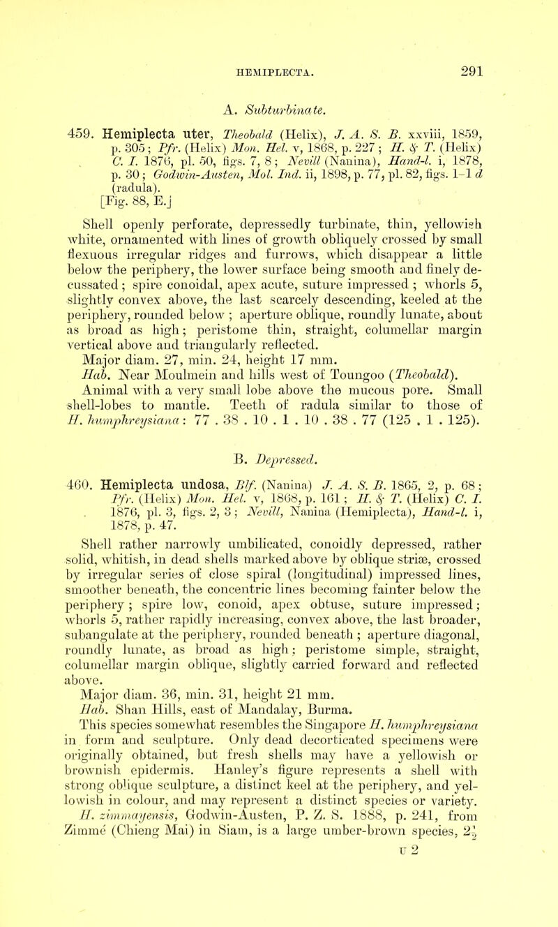 A. Subturbinate. 459. Hemiplecta uter, Theobald (Helix), J. A. S. B. xxviii, 1859, p. 305; Pfr. (Helix) Mon. Hel. v, 1868, p. 227 ; II. % T. (Helix) C. I. 1876, pi. 50, figs. 7, 8; Nevill (Nanina), Hand-l. i, 1878, p. 30; Godwin-Austen, Mol. Ind. ii, 1898, p. 77, pi. 82, figs. 1-1 d (radula). [Fig. 88, E.j Shell openly perforate, depressedly turbinate, thin, yellowish white, ornamented with lines of growth obliquely crossed by small flexuous irregular ridges and furrows, which disappear a little below the periphery, the lower surface being smooth and finely de- cussated ; spire conoidal, apex acute, suture impressed ; whorls 5, slightly convex above, the last scarcely descending, keeled at the periphery, rounded below ; aperture oblique, roundly lunate, about as broad as high; peristome thin, straight, columellar margin vertical above and triangularly reflected. Major diam. 27, min. 24, height 17 mm. Hab. Near Moulmein and hills west of Toungoo (Theobald). Animal with a very small lobe above the mucous pore. Small shell-lobes to mantle. Teeth of radula similar to those of H. humphreysiana: 77.38.10.1 . 10.38.77 (125 . 1 . 125). B. Depressed. 460. Hemiplecta undosa, Blf. (Nanina) J. A. S. B. 1865, 2, p. 68; Pfr. (Helix) Mon. Mel. v, 1868, p. 161; II. # T. (Helix) C. I. 1876, pi. 3, figs. 2, 3; Nevill, Nanina (Hemiplecta), Mand-l. i, 1878, p. 47. Shell rather narrowly umbilicated, conoidly depressed, rather solid, whitish, in dead shells marked above by oblique striae, crossed by irregular series of close spiral (longitudinal) impressed lines, smoother beneath, the concentric lines becoming fainter below the periphery; spire low, conoid, apex obtuse, suture impressed; whorls 5, rather rapidly increasing, convex above, the last broader , subangulate at the periphery, rounded beneath ; aperture diagonal, roundly lunate, as broad as high; peristome simple, straight, columellar margin oblique, slightly carried forward and reflected above. Major diam. 36, min. 31, height 21 mm. Hab. Shan Hills, east of Mandalay, Burma. This species somewhat resembles the Singapore H. humphreysiana in form and sculpture. Only dead decorticated specimens were originally obtained, but fresh shells may have a yellowish or brownish epidermis. Hanley's figure represents a shell with strong oblique sculpture, a distinct keel at the periphery, and yel- lowish in colour, and may represent a distinct species or variety. H. zimmayensis, Godwin-Austen, P. Z. S. 1888, p. 241, from Zimme (Chieng Mai) in Siam, is a large umber-brown species, 2-1