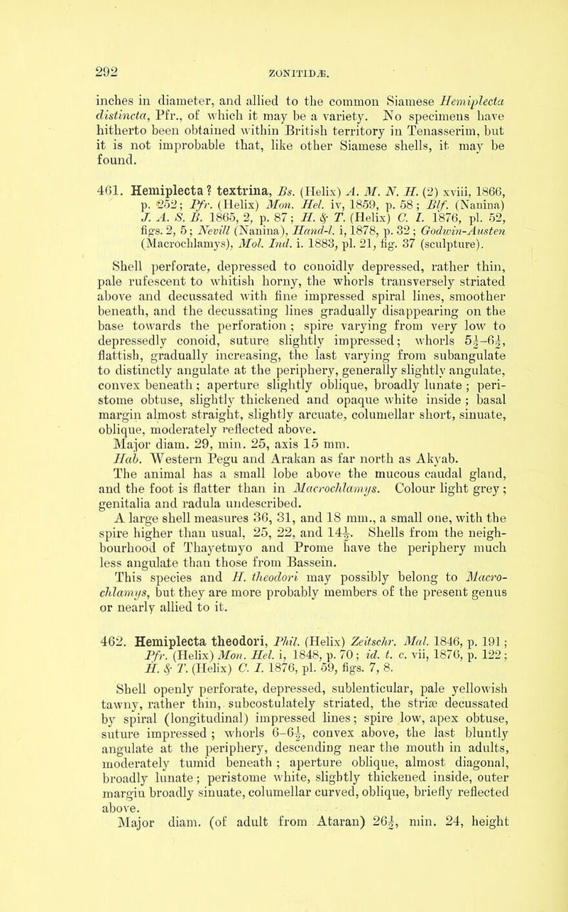 inches in diameter, and allied to the common Siamese Hemiplecta distincta, Pfr., of which it may be a variety. No specimens have hitherto been obtained within British territory in Tenasserim, but it is not improbable that, like other Siamese shells, it may be found. 461. Hemiplecta? textrina, Bs. (Helix) A. M. N. H. (2) xviii, 1866, p. Qo2; Ifr. (Helix) Mon. Hel. iv, 1859, p. 58; Blf. (Nanina) J. A. S. B. 1865, 2, p. 87; H. <§r T. (Helix) C. I. 1876, pi. 52, figs. 2, 5; Nevill (Nanina), Hand-l. i, 1878, p. 32 ; Godwin-Austen (Macroclilamys), Mol. Ind. i. 1883, pi. 21, fig. 37 (sculpture). Shell perforate, depressed to conoidlv depressed, rather thin, pale rufescent to whitish horny, the whorls transversely striated above and decussated with fine impressed spiral lines, smoother beneath, and the decussating lines gradually disappearing on the base towards the perforation; spire varying from very low to depressedly conoid, suture slightly impressed; whorls 5|-6|, flattish, gradually increasing, the last varying from subangulate to distinctly angulate at the periphery, generally slightly angulate, convex beneath; aperture slightly oblique, broadly lunate ; peri- stome obtuse, slightly thickened and opaque white inside; basal margin almost straight, slightly arcuate, columellar short, sinuate, oblique, moderately reflected above. Major diam. 29, min. 25, axis 15 mm. Hcib. Western Pegu and Arakan as far north as Akyab. The animal has a small lobe above the mucous caudal gland, and the foot is flatter than in Macrochlamys. Colour light grey; genitalia and radula undescribed. A large shell measures 36, 31, and 18 mm., a small one, with the spire higher than usual, 25, 22, and 14-L. Shells from the neigh- bourhood of Thayetmyo and Prome have the periphery much less angulate than those from Bassein. This species and H. theodori may possibly belong to Macro- chlamys, but they are more probably members of the present genus or nearly allied to it. 462. Hemiplecta theodori, Phil. (Helix) Zeitschr. Mai. 1846, p. 191 ; Pfr. (Helix) Mon. Hel. i, 1848, p. 70; id. t. c. vii, 1876, p. 122; H. 8f T. (Helix) C. I. 1876, pi. 59, figs. 7, 8. Shell openly perforate, depressed, sublenticular, pale yellowish tawny, rather thin, subcostulately striated, the striae decussated by spiral (longitudinal) impressed lines; spire low, apex obtuse, suture impressed ; whorls 6-6-J, convex above, the last bluntly angulate at the periphery, descending near the mouth in adults, moderately tumid beneath; aperture oblique, almost diagonal, broadly lunate; peristome white, slightly thickened inside, outer margin broadly sinuate, columellar curved, oblique, briefly reflected above. Major diam. (of adult from Ataran) 26|, min. 24, height