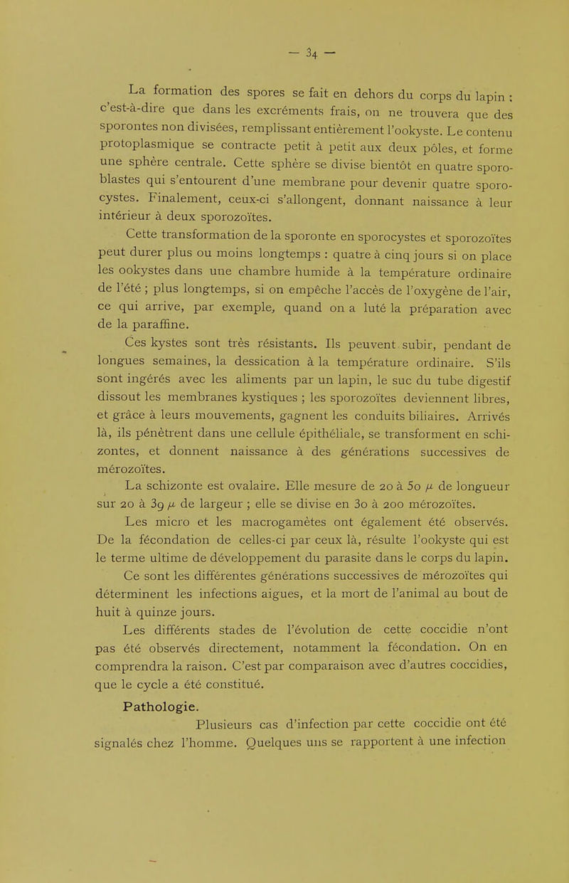 La formation des spores se fait en dehors du corps du lapin : c'est-à-dire que dans les excréments frais, on ne trouvera que des sporontes non divisées, remplissant entièrement l'ookyste. Le contenu protoplasmique se contracte petit à petit aux deux pôles, et forme une sphère centrale. Cette sphère se divise bientôt en quatre sporo- blastes qui s'entourent d'une membrane pour devenir quatre sporo- cystes. Finalement, ceux-ci s'allongent, donnant naissance à leur intérieur à deux sporozoïtes. Cette transformation de la sporonte en sporocystes et sporozoïtes peut durer plus ou moins longtemps : quatre à cinq jours si on place les ookystes dans une chambre humide à la température ordinaire de l'été ; plus longtemps, si on empêche l'accès de l'oxygène de l'air, ce qui arrive, par exemple, quand on a luté la préparation avec de la paraffine. Ces kystes sont très résistants. Ils peuvent subir, pendant de longues semaines, la dessication à la température ordinaire. S'ils sont ingérés avec les aliments par un lapin, le suc du tube digestif dissout les membranes kystiques ; les sporozoïtes deviennent libres, et grâce à leurs mouvements, gagnent les conduits biliaires. Arrivés là, ils pénètrent dans une cellule épithéliale, se transforment en schi- zontes, et donnent naissance à des générations successives de mérozoïtes. La schizonte est ovalaire. Elle mesure de 20 à 5o de longueur sur 20 à 39 /u. de largeur ; elle se divise en 3o à 200 mérozoïtes. Les micro et les macrogamètes ont également été observés. De la fécondation de celles-ci par ceux là, résulte l'ookyste qui est le terme ultime de développement du parasite dans le corps du lapin. Ce sont les différentes générations successives de mérozoïtes qui déterminent les infections aiguës, et la mort de l'animal au bout de huit à quinze jours. Les différents stades de l'évolution de cette coccidie n'ont pas été observés directement, notamment la fécondation. On en comprendra la raison. C'est par comparaison avec d'autres coccidies, que le cycle a été constitué. Pathologie. Plusieurs cas d'infection par cette coccidie ont été signalés chez l'homme. Quelques uns se rapportent à une infection