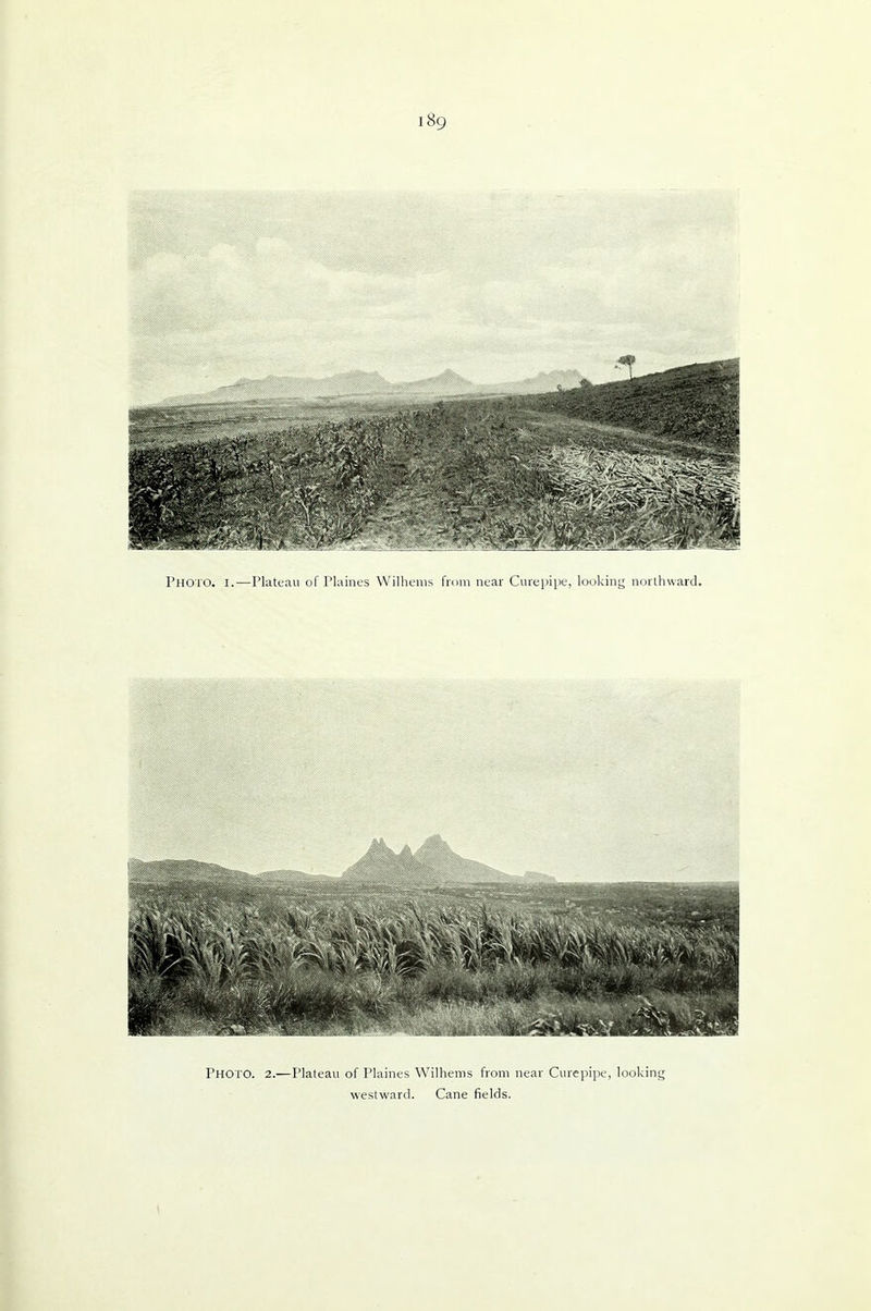 Photo. 2.—Plateau of Plaines Wilhems from near Curepipe, looking westward. Cane fields.