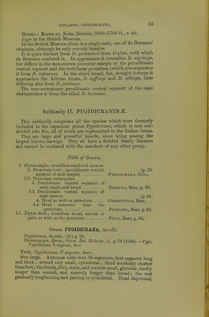 DIPLATTS.—PYGIDICRANA. Btjrma : Karen-ui, Keba District, 3000-3700 ft., v-xii. Tyj)e in the British Museum. In the British Museum there is a single male, one of de Bormans' originals, although he only records females. It is quite distinct from D. fjerstcecTceri from Ceylon, with which de Bormans confused it. In appearance it resembles D. nicjficeps, but differs in the non-convex posterior margin of the penultimate ventral segment and the rectilinear pronotum (vi^hich also separates it from D. rufescens). In the short, broad, flat, straight forceps it approaches the African forms, Z>. raffrayi and D. cnihiops, thus differing also from D. jacobsoni. The non-eraarginate penultimate venti-al segment of the male distinguishes it from the allied D. honnansi. Subfamily II. PYGIDICRANINtE. This subfamily comprises all the species which -were formerly- included in the capacious genus Pygidicrana, which is now sub- divided into five, all of which are represented in the Indian fauna. They are large and powerful insects, some being among the largest known earwigs. They all have a decided family likeness and cannot be confused with the members of any other group. Table of Genera. 1. Elytra ample; scutellum small and narrow. 2. Pronotum oval; (penultimate ventral [p. 53. segment of male ample) Pygidicrana, Serv., 2.2. Pronotum rectangular. 3. Penultimate ventral segment of male ample and broad Dicrana, Burr, p. 60. 3.3. Penultimate ventral segment of male narrow. [p. 61. 4. Head as wide as pronotum .... Cranopygia, Burr, 4.4. Head narrower than the pronotum Picrania, Burr, p. 63. 1.1. Elytra short; scutellum broad, almost or quite as wide as the pronotum Pyge, Burr, p. 65. Genus PYGIDICRANA, Serville. Pygidicrana, Serville, (31) p. 30. Dicranopygia, Btirm., Germ. Ent. Zeitschr. ii. p. 79 {184.0).—Type, Pygidicrana V-nigrum, Serv. Type, Pygidicrana V-nigrum, Serv. Size large. Antenna) with over 35 segments, first segment long and thick ; second very small, cylindrical; third decidedly shorter than first; the fourth, fifth, sixth, and seventh small, globular, hardly longer than second, and scarcely longer than broad; the rest gradually lengthening and passing to cylindrical. Head depressed,