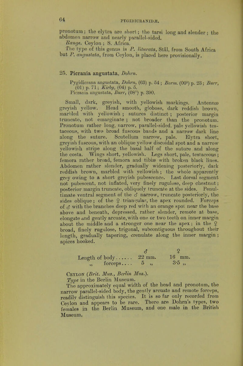 pronotuin; the elytra are short; the tarsi long and slender ; the abdomen narrow and nearly parallel-sided. Range. Ceylon ; S. Africa. Tlie type of this genus is P. lituraia, Stai, from South Africa but P. mujustata, from Ceylon, is placed here provisionally. 25. Picrania angustata, Dolirn. Pyg:idicrana anoustata, Dohrn, (63) p. 54 : JSorwi. (OO'^) p. 23; Burr, (01) p. 71; Kirby, (04) p. 5. Picrania angustata, Btirr, (08') p. 390. Small, dark, greyish, with yellowish markings. Antenna) greyish yellow. Head smooth, globose, dark reddish brown, marl)led with yellowish ; sutures distinct ; posterior margin truncate, not emargiuate ; not broader than the pronotum. Pronotum rather long, narrow, parallel-sided, pale yellowish tes- taceous, with two broad fuscous bands and a narrow dark line along the suture. Scutellum narrow, pale. Elytra short, greyish fuscous, with an oblique yellow discoidal spot and a narrow yellowish stripe along the basal half of the suture and along the costa. Wings short, yellowish. Legs short, pale, testaceous; femora rather broad, femora and tibiae with broken black lines. Abdomen rather slender, gradually widening posteriorly, dark reddish brown, marbled with yellowish; the whole apparently grey owing to a short greyish pubescence. Last dorsal segment not pubescent, not inflated, very finely rugulose, deep chestnut; posterior margin truncate, obliquely truncate at the sides. Penul- timate ventral segment of the <S narrow, truncate posteriorly, the sides oblique ; of the $ trianq;ular, the apex rounded. Forceps of <S with the branches deep red with an orange spot near the base above and beneath, depressed, rather slender, remote at base, elongate and gently arcuate, with one or two teeth on inner margin about the middle and a stronger one near the apex ; in the $ broad, finely rugulose, trigonal, subcontiguous throughout their length, gradually tapering, orenulate along the inner margin; apices hooked. 6 2 Length of body 22 mm. 16 mm. „ forceps.... 5 „ 3'5 „ Ceylon (Brit. Mus., Berlin Mus.). Type in the Berlin Museum. The approximately equal width of the head and pronotum, the narrow parallel-sided body, the gently arcuate and remote forceps, readily distinguish this species. It is so far only recorded from Cevlon and appears to be rare. There are Dohrn's types, two females in the Berlin Museum, and one male in the British Museum.