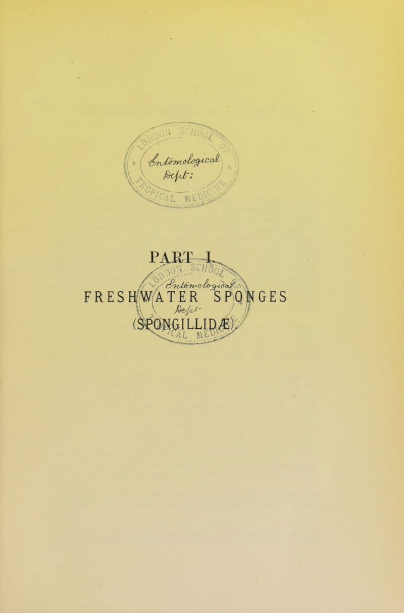f/v u4 >■ U fctjdr; A >7*, —■, . ■ -A-a KltW“ Aj PART J Mh : A FRESHWATER SPONGES Y v fw V'/