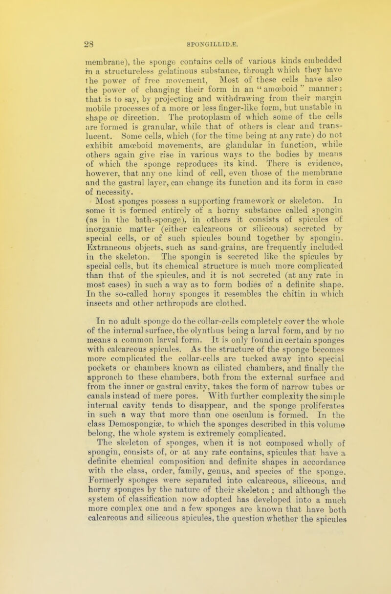 membrane), the sponge contains cells of various kinds embedded m a structureless gelatinous substance, through which they have the power of free movement, Most of these cells have also the power of changing their form in an “amoeboid manner; that is to say, by projecting and withdrawing from their margin mobile processes of a more or less finger-like form, but unstable in shape or direction. The protoplasm of which some of the cells are formed is granular, while that of others is clear and trans- lucent. Some cells, which (for the time being at any rate) do not exhibit amoeboid movements, are glandular in function, while others again give rise in various ways to the bodies by means of which the sponge reproduces its kind. There is evidence, however, that any one kind oE cell, even those of the membrane and the gastral layer, can change its function and its form in case of necessity. Most sponges possess a supporting framework or skeleton. In some it is formed entirely of a horny substance called spongin (as in the bath-sponge), in others it consists of spicules of inorganic matter (either calcareous or siliceous) secreted by special cells, or of such spicules bound together by spongin. Extraneous objects, such as sand-grains, are frequently included in the skeleton. The spongin is secreted like the spicules by special cells, but its chemical structure is much more complicated than that of the spicules, and it is not secreted (at any rate in most cases) in such a way as to form bodies of a definite shape. In the so-called horny sponges it resembles the chitin in which insects and other arthropods are clothed. In no adult sponge do the collar-cells completely cover the whole of the internal surface, the olynthus being a larval form, and bv no means a common larval form. It is only found in certain sponges with calcareous spicules. As the structure of the sponge becomes more complicated the collar-cells are tucked away into special pockets or chambers known as ciliated chambers, and finally the approach to these chambers, both from the external surface and from the inner or gastral cavity, takes the form of narrow tubes or canals instead of mere pores. With further complexity the simple internal cavity tends to disappear, and the sponge proliferates in such a way that more than one osculum is formed. In the class Demospongisc, to which the sponges described in this volume belong, the whole system is extremely complicated. The skeleton of sponges, when it is not composed wholly of spongin, consists of, or at any rate contains, spicules that have a definite chemical composition and definite shapes in accordance with the class, order, family, genus, and species of the sponge. Formerly sponges were separated into calcareous, siliceous, and horny sponges by the nature of their skeleton ; and although the system of classification now adopted has developed into a much more complex one and a feu- sponges are known that have both calcareous and siliceous spicules, the question whether the spicules