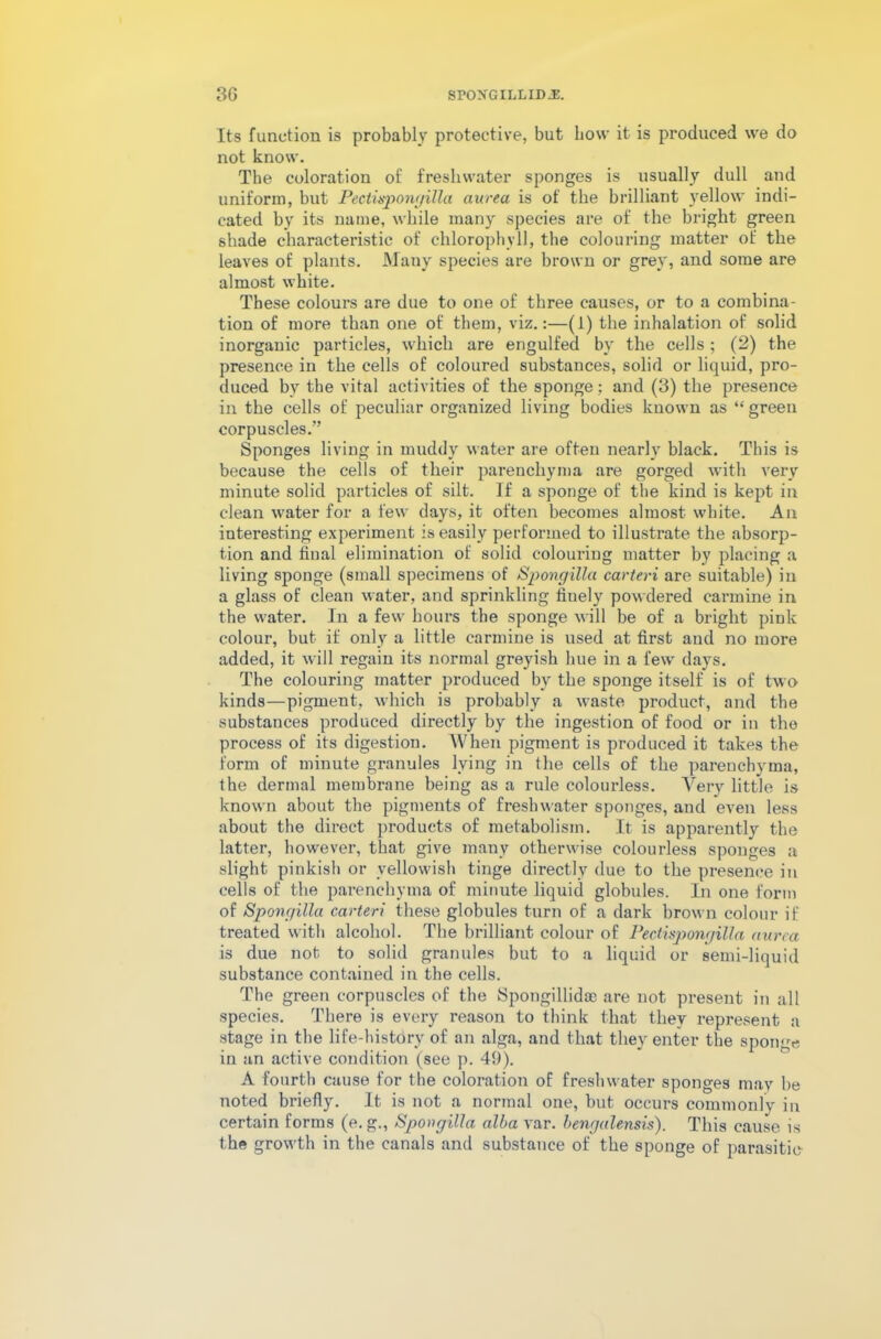 Its function is probably protective, but bow it is produced we do not know. The coloration of freshwater sponges is usually dull and uniform, but Pectispongilla aurea is of the brilliant yellow indi- cated by its name, while many species are of the bright green shade characteristic of chlorophyll, the colouring matter of the leaves of plants. Many species are brown or grey, and some are almost white. These colours are due to one of three causes, or to a combina- tion of more than one of them, viz.:—(1) the inhalation of solid inorganic particles, which are engulfed by the cells; (2) the presence in the cells of coloured substances, solid or liquid, pro- duced by the vital activities of the sponge : and (3) the presence in the cells of peculiar organized living bodies known as “ green corpuscles.” Sponges living in muddy water are often nearly black. This is because the cells of their parenchyma are gorged with very minute solid particles of silt. If a sponge of the kind is kept in clean water for a few days, it often becomes almost white. An interesting experiment is easily performed to illustrate the absorp- tion and final elimination of solid colouring matter by placing a living sponge (small specimens of Spongilla carteri are suitable) in a glass of clean water, and sprinkling fiuely powdered carmine in the water. In a few hours the sponge will be of a bright pink colour, but if only a little carmine is used at first and no more added, it will regain its normal greyish hue in a few days. The colouring matter produced by the sponge itself is of two kinds—pigment, which is probably a waste product, and the substances produced directly by the ingestion of food or in the process of its digestion. When pigment is produced it takes the form of minute granules lying in the cells of the parenchyma, the dermal membrane being as a rule colourless. Very little is known about the pigments of freshwater sponges, and even less about the direct products of metabolism. It is apparently the latter, however, that give many otherwise colourless sponges a slight pinkish or yellowish tinge directly due to the presence in cells of the parenchyma of minute liquid globules. In one form of Spongilla carteri these globules turn of a dark brown colour if treated with alcohol. The brilliant colour of Pectispongilla aurea is due not to solid granules but to a liquid or semi-liquid substance contained in the cells. The green corpuscles of the Spongillidae are not present in all species. There is every reason to think that they represent a stage in the life-history of an alga, and that they enter the sponge in an active condition (see p. 49). A fourth cause for the coloration of freshwater sponges may be noted briefly. It is not a normal one, but occurs commonly in certain forms (e. g., Spongilla alba var. bengalensis). This cause is the growth in the canals and substance of the sponge of parasitic