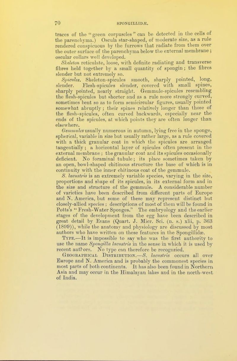 traces of the “green corpuscles” can be detected in the cells of the parenchyma.) Oseula star-shaped, of moderate size, as a rule rendered conspicuous by the furrows that radiate from them over the outer surface of the parenchyma below the external membrane ; oscular collars well developed. Skeleton reticulate, loose, with definite radiating and transverse fibres held together by a small quantity of spongin; the fibres slender but not extremely so. Spicules. Skeleton-spicules smooth, sharply pointed, long, slender. Elesh-spicules slender, covered with small spines, sharply pointed, nearly straight. Gemmule-spicules resembling the flesh-spicules but shorter and as a rule more strongly curved, sometimes bent so as to form semicircular figures, usually pointed somewhat abruptly; their spines relatively longer than those of the flesh-spicules, often curved backwards, especially near the ends of the spicules, at which points they are often longer than elsewhere. Gemmulesusually numerous in autumn, lying free in the sponge, spherical, variable in size but usually rather large, as a rule covered with a thick granular coat in which the spicules are arranged tangentially; a horizontal layer of spicules often present in the external membrane ; the granular coat and its spicules occasionally deficient. No foraminal tubule; its place sometimes taken by an open, bowl-shaped chitinous structure the base of which is in continuity with the inner ehilinous coat of the gemmule. S. lacustris is an extremely valuable species, varying in the size, proportions and shape of its spicules, in its external form and in the size and structure of the gemmule. A considerable number of varieties have been described from different parts of Europe and N. America, but some of these may represent distinct but closely-allied species ; descriptions of most of them will be found in Potts’s “ Fresh-Water Sponges.” The embryology and the earlier stages of the development from the egg have been described in great detail by Evans (Quart. J. Micr. Sci. (n. s.) xlii, p. 363 (1899)), while the anatomy and physiology are discussed by most authors who have written on these features in the Spongillidse. Type.—It is impossible to say who was the first authority to use the name Spong ilia lacustris in the sense in which it is used by recent authors. No type can therefore be recognzied. Geographical Distribution.—S. lacustris occurs all over Europe and N. America and is probably the commonest species in most parts of both continents. It has also been found in Northern Asia and may occur in the Himalayan lakes and in the north-west of India.