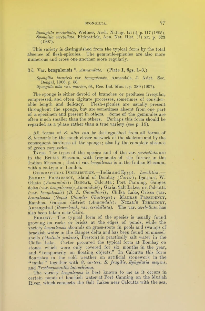 Spongilla cerebellata, Weltner, Arch. Naturg. lxi (i), p. 117 (1895). Spongilla cerebellata, Kirkpatrick, Ann. Nat. Hist. (7) xx, p. 523 (1907). This variety is distinguished from the typical form by the total absence of flesh-spicules. The gem mule-spicules are also more numerous and cross one another more regularly. 3 b. Yar. bengalensis *, Annandale. (Plate I, figs. 1-3.) Spongilla lacustris var. benegalensis, Annandale, J. Asiat. Soc. Bengal, 1906, p. 56. Spongilla alba var. marina, id., Rec. Ind. Mus. i, p. 389 (1907). The sponge is either devoid of branches or produces irregular,, compressed, and often digitate processes, sometimes of consider- able length and delicacy. Flesh-spicules are usually present throughout the sponge, but are sometimes absent from one part of a specimen and present in others. Some of the gemmules are often much smaller than the others. Perhaps this form should be regarded as a phase rather than a true variety (see p. 18). All forms of S. alba can be distinguished from all forms of N. lacustris by the much closer network of the skeleton and by the consequent hardness of the sponge; also by the complete absence of green corpuscles. Types. The types of the species and of the var. cerebellata are in the British Museum, with fragments of the former in the Indian Museum ; that of var. bengalensis is in the Indian Museum,, with a co-type in London. Geographical Distribution.—India and Egypt. Localities :— Bombay Presidency, island of Bombay (Carter)-, Igatpuri, W. Ghats (Annandale): Bengal, Calcutta; Port Canning, Ganges delta (var. bengalensis)(Annandale) ; Garia, Salt Lakes, nr. Calcutta (\ar. bengalensis) (B. L. Chaudliuri); Chilka Lake, Orissa (var. bengalensis (Gopal Chuncler Chatterjee) : Madras Presidency,. Rambka, Ganjam district (Annandale)-. Nizam’s Territory, Aurangabad (Bowerbanlc, var. cerebellata). The var. cerebellata has also been taken near Cairo. Biology.—The typical form of the species is usually found growing on rocks or bricks at the edges of ponds, while the variety bengalensis abounds on grass-roots in pools and swamps of brackish water in the Ganges delta and has been found on mussel- shells (Modiola jenkinsi, Preston) in practically salt water in the Chilka Lake. Carter procured the typical form at Bombay on stones which were only covered for six months in the year, and “ temporarily on floating objects.” In Calcutta this form flourishes in the cold weather on artificial stonework in the “ tanks ” together with S. carteri, S. fragilis, Ephydatia meyeni, and Trochospongilla latouchiana. The variety bengalensis is best known to me as it occurs in certain ponds of brackish water at Port Canning on the Mutlali River, which connects the Salt Lakes near Calcutta with the sea.