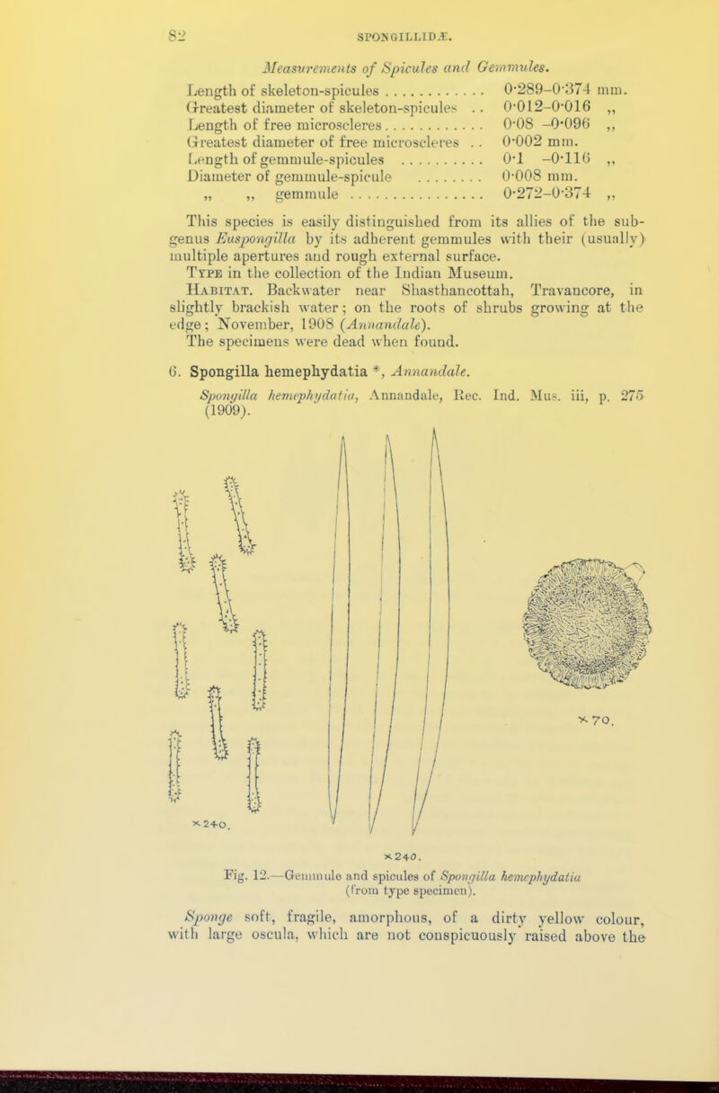 Measurements of Spicules and Gemmules. Length of skeleton-spicules 0'289-0-374 min. Greatest diameter of skeleton-spicules .. 0-012-0016 ,, Length of free microscleres O’OS -0-096 ,, Greatest diameter of free microscleres .. 0'002 mm. Length of gemmule-spicules 0-l -O’llO ,, Diameter of gemmule-spicule O’OOS mm. „ ,, gemmule 0,272-0-374 ,, This species is easily distinguished from its allies of the sub- genus Euspongilla by its adherent gemmules with their (usually) multiple apertures and rough external surface. Type in the collection of the Indian Museum. Habitat. Backwater near Shasthancottah, Travancore, in slightly brackish water; on the roots of shrubs growing at the edge; November, 1908 (Annandale). The specimens were dead when found. 6. Spongilla hemepliydatia *, Annandale. Sponyilla hemepliydatia, Annandale, Rec. Ind. Mus. iii, p. 275 (1909). *240. Fig. 12.—Geninmle and spicules of Spongilla hemepliydatia (from type specimen). Sponge soft, fragile, amorphous, of a dirty yellow colour, with large oscula. which are not conspicuously raised above the