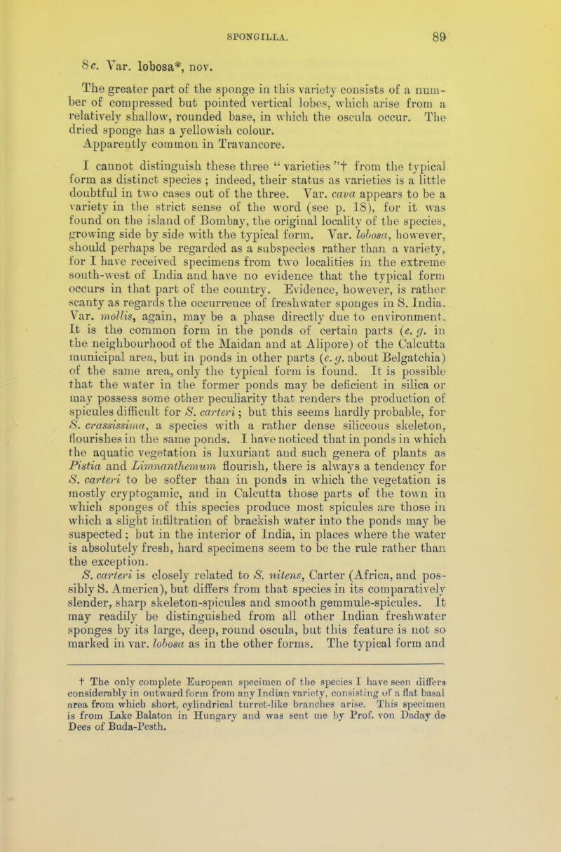 Sc. Var. lobosa*, nov. The greater part of the sponge in this variety consists of a num- ber of compressed but pointed vertical lobes, which arise from a relatively shallow, rounded base, in which the oscula occur. The dried sponge has a yellowish colour. Apparently common in Travancore. I cannot distinguish these three “ varieties ”f from the typical form as distinct species ; indeed, their status as varieties is a little doubtful in two cases out of the three. Var. cava appears to be a variety in the strict sense of the word (see p. 18), for it was found on the island of Bombay, the original locality of the species, growing side by side with the typical form. Var. lobosa, however, should perhaps be regarded as a subspecies rather than a variety, for I have received specimens from two localities in the extreme south-west of India and have no evidence that the typical form occurs in that part of the country. Evidence, however, is rather scanty as regards the occurrence of freshwater sponges in S. India. Var. mollis, again, may be a phase directly due to environment. It is the common form in the ponds of certain parts (e. cj. in the neighbourhood of the Maidan and at Alipore) of the Calcutta municipal area, but in ponds in other parts (e. g. about Belgatchia) of the same area, only the typical form is found. It is possible that the water in the former ponds may be deficient in silica or may possess some other peculiarity that renders the production of spicules difficult for S. carteri; but this seems hardly probable, for S. crassissima, a species with a rather dense siliceous skeleton, flourishes in the same ponds. I have noticed that in ponds in which the aquatic vegetation is luxuriant and such genera of plants as Pistia and Limnanthemum flourish, there is always a tendency for S. carteri to be softer than in ponds in which the vegetation is mostly cryptogamic, and in Calcutta those parts of the town in which sponges of this species produce most spicules are those in which a slight infiltration of brackish water into the ponds may be suspected; but in the interior of India, in places where the water is absolutely fresh, hard specimens seem to be the rule rather than the exception. S. carteri is closely related to S. nitens, Carter (Africa, and pos- sibly S. America), but differs from that species in its comparatively slender, sharp skeleton-spicules and smooth gemmule-spicules. It may readily be distinguished from all other Indian freshwater sponges by its large, deep, round oscula, but this feature is not so marked in var. lobosa as in the other forms. The typical form and t The only complete European specimen of the species I have seen differs considerably in outward form from any Indian variety, consisting of a flat basal area from which short, cylindrical turret-like branches arise. This specimen is from Lake Balaton in Hungary and was sent me by Prof, von Daday do Dees of Buda-Pesth.